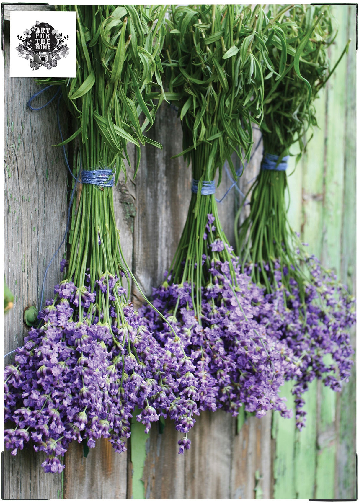 Art for the home Leinwandbild »Outdoor Lavendel 50x70cm« Blumen | Romantisch 1 Stk. tlg. Leinwand für draußen - Lavendel - 70x50cm