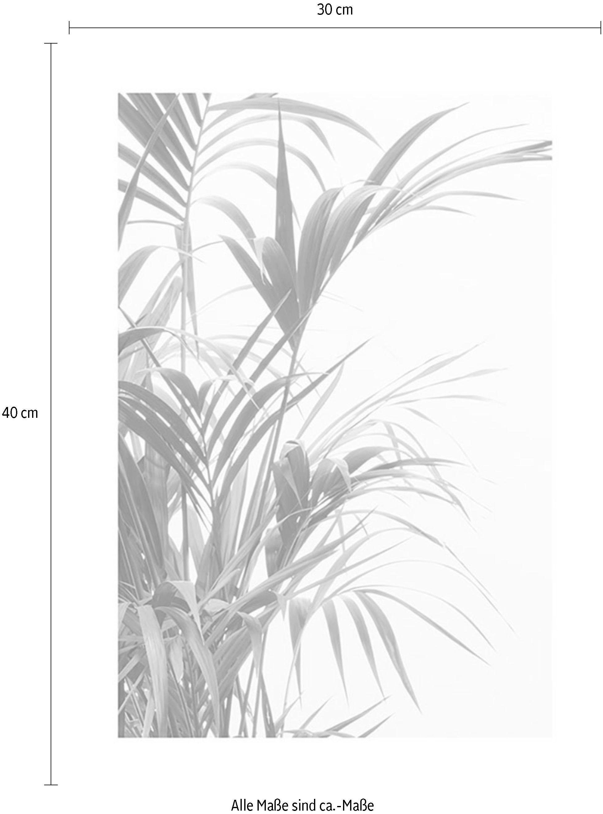 Komar | Kinderzimmer, Poster Wohnzimmer Schlafzimmer, »Reed Leaves«, St.), (1 Pflanzen-Blätter, BAUR