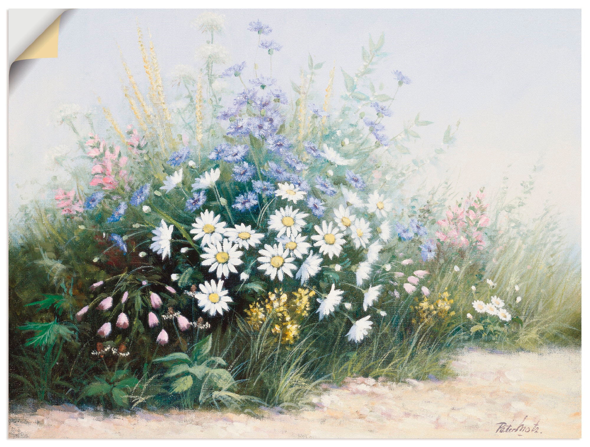 Poster »Blumen Artland Größen Blumen, kaufen | Leinwandbild, (1 Serenade«, BAUR in Wandbild versch. oder St.), Wandaufkleber als