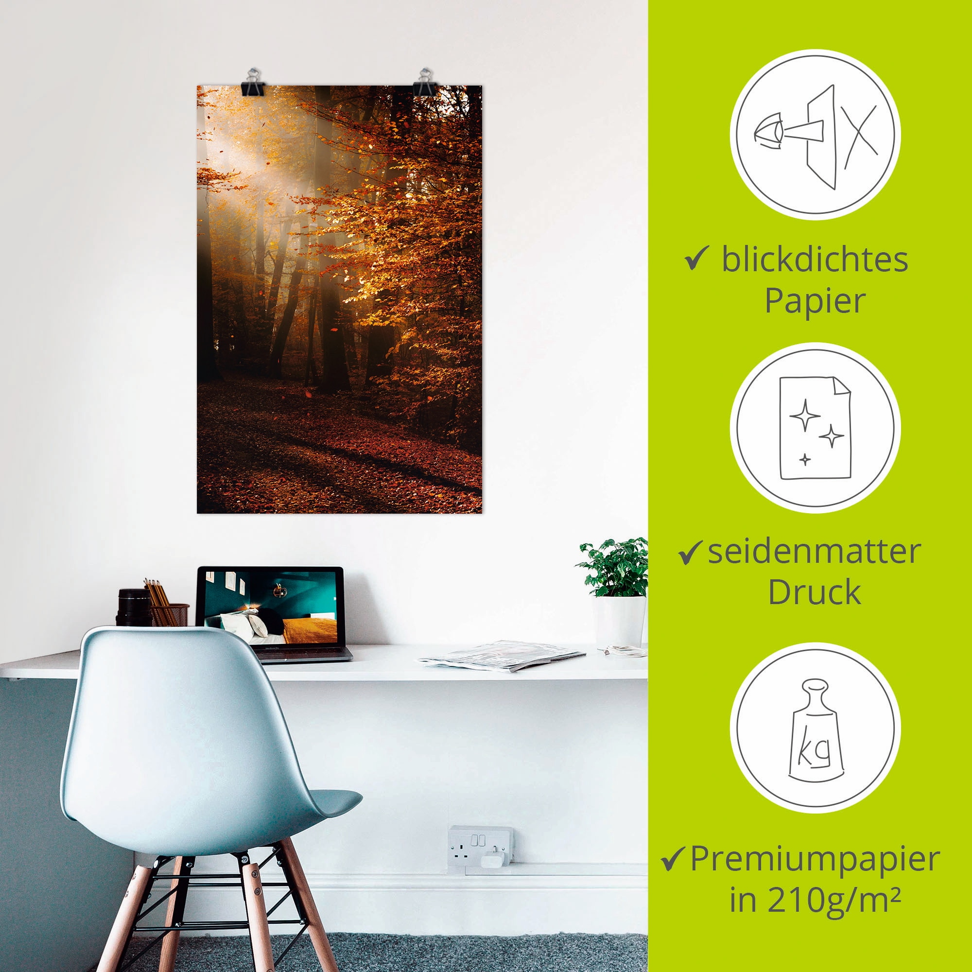 Artland Wandbild »Sonnenaufgang im Herbst« Wald 1 Stk. tlg. als Leinwandbild, Poster in verschied. Größen