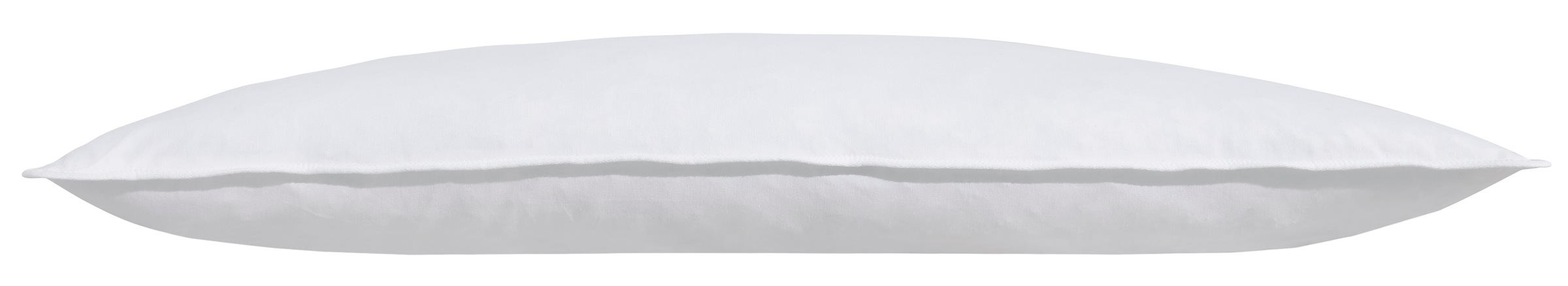 my home Federkopfkissen "Covino" Füllung: 100Federn 1 Stk. tlg. Kissen 40x8 günstig online kaufen