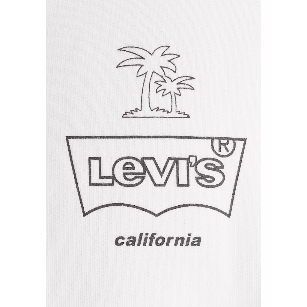 Levi's® Kapuzensweatshirt »T2 RELAXED GRAPHIC PO«, mit Logoprint