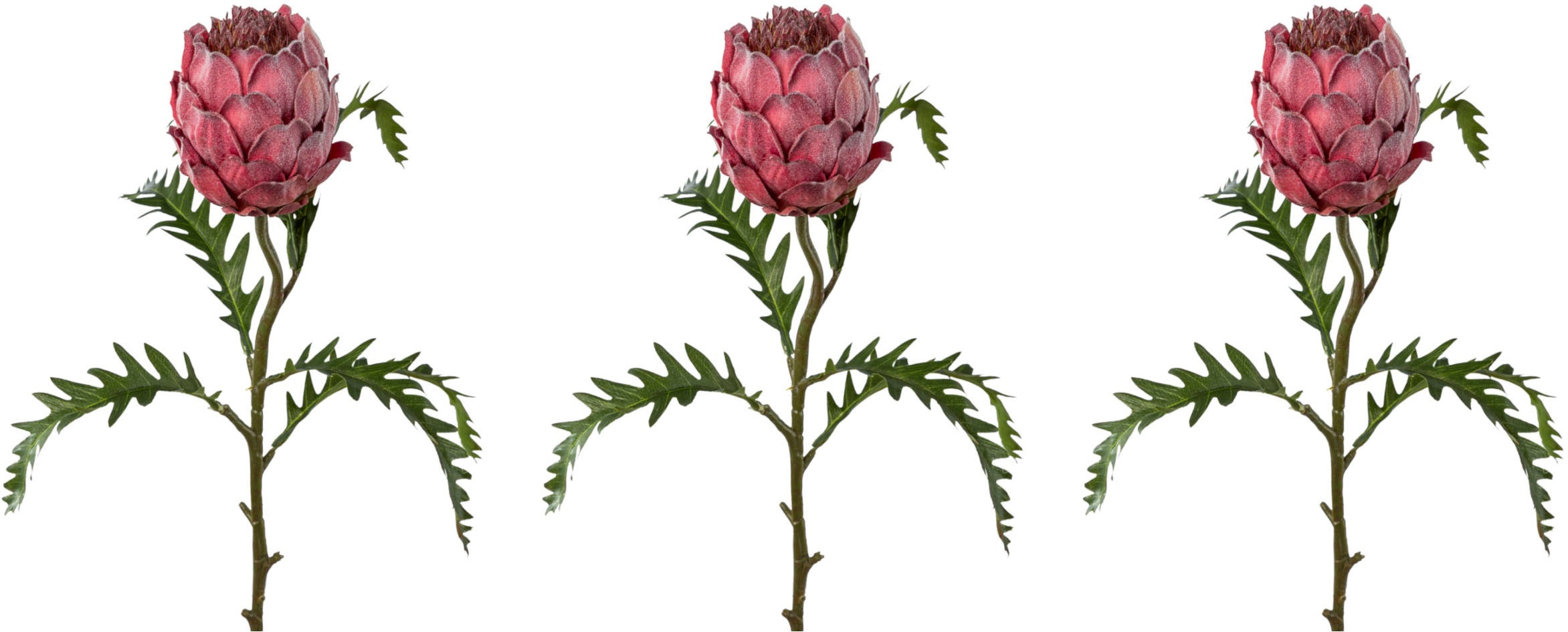 Creativ green Kunstzweig »Artischocke«, (3 St.), mit dekorativer Blüte kaufen