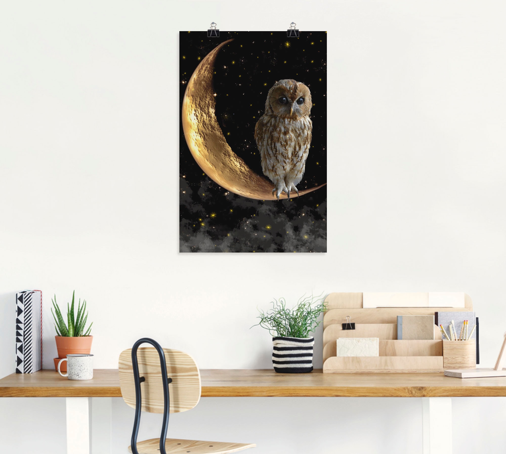 Artland Wandbild »Nachteule«, Vögel, (1 St.), als Alubild, Outdoorbild, Leinwandbild, Poster in verschied. Größen