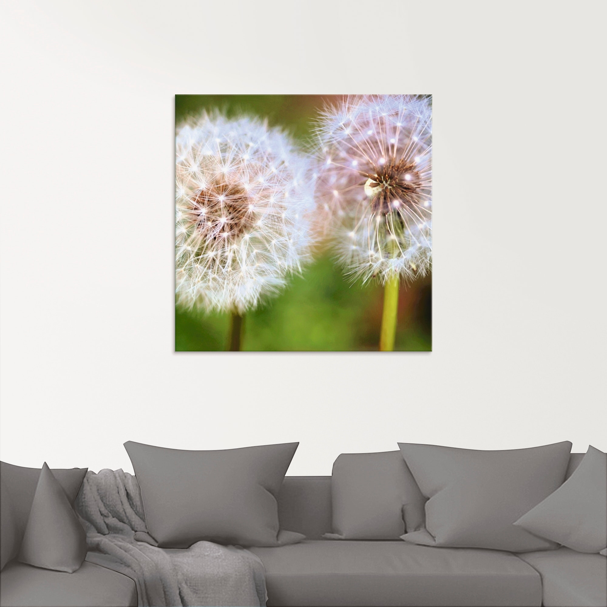 Artland Glasbild "Pusteblume Zweisamkeit", Blumen, (1 St.), in verschiedene günstig online kaufen