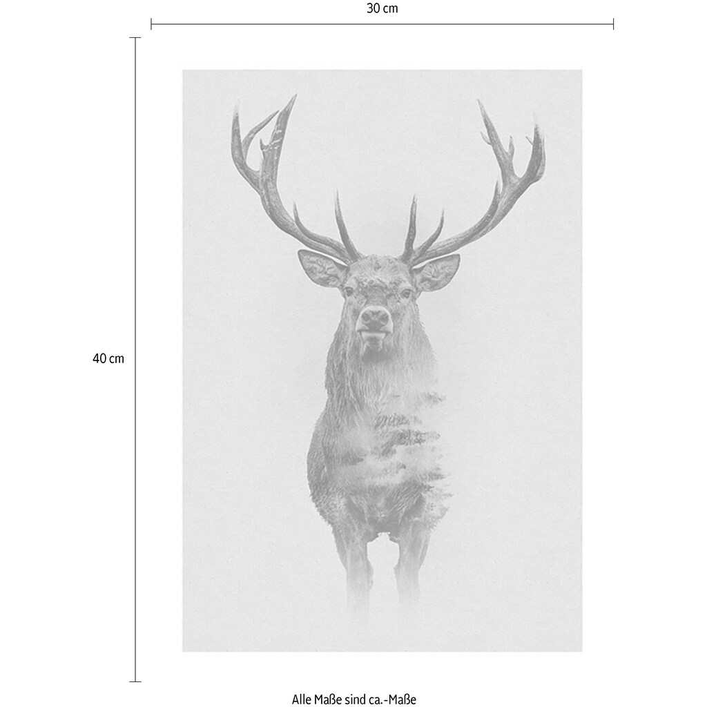 Komar Poster »Animals Forest Deer«, Tiere, (1 St.)