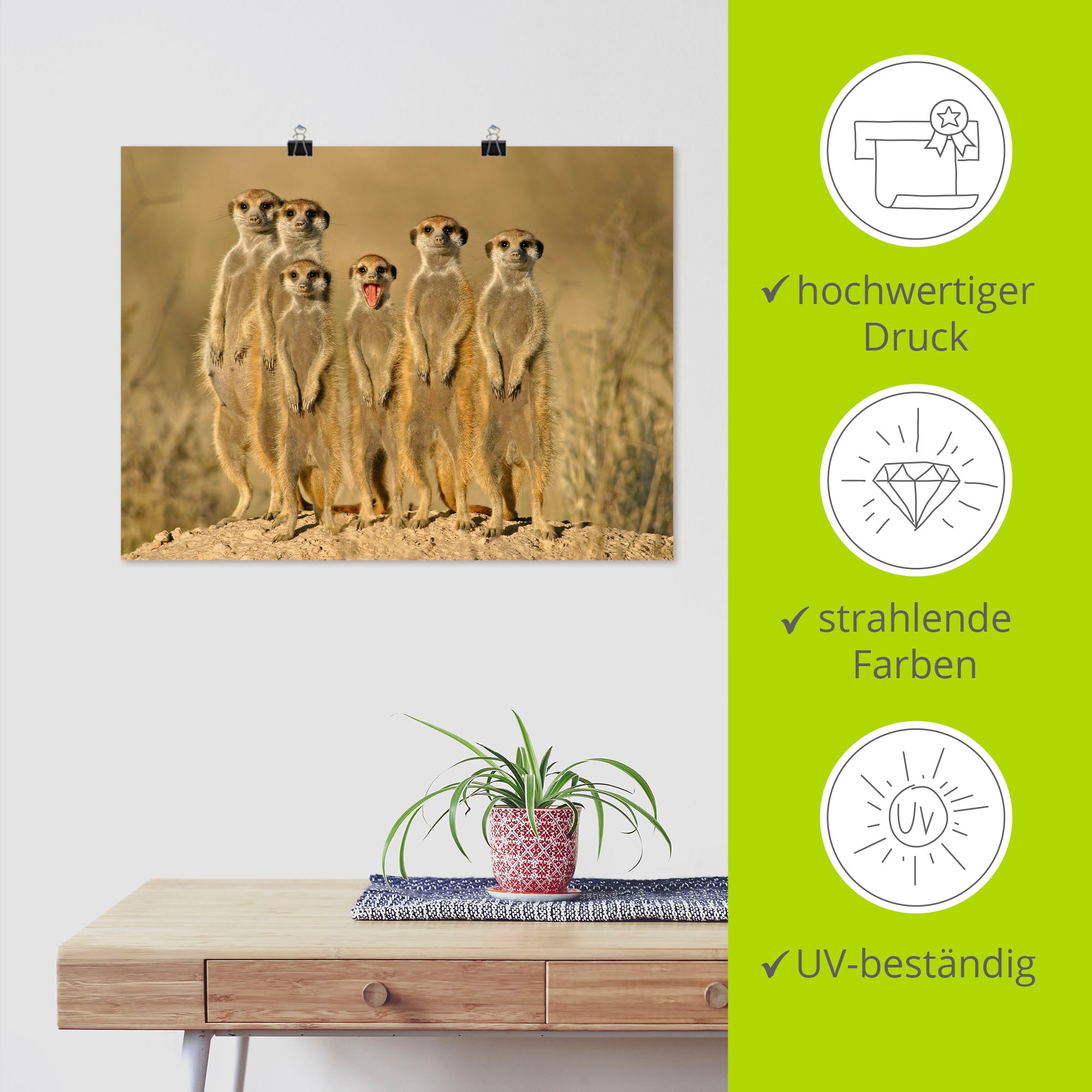 Artland Wandbild »Erdmännchen Familie« Wildtiere 1 Stk. tlg. als Alubild, Outdoorbild, Leinwandbild, Poster, Wandaufkleber