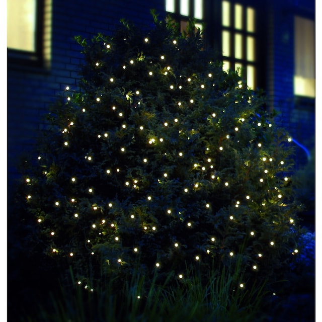 LEDs, warmweißen LED-Lichternetz Außenbereich mit kaufen | »Weihnachtsdeko Star-Max zahlreichen BAUR aussen«, den für