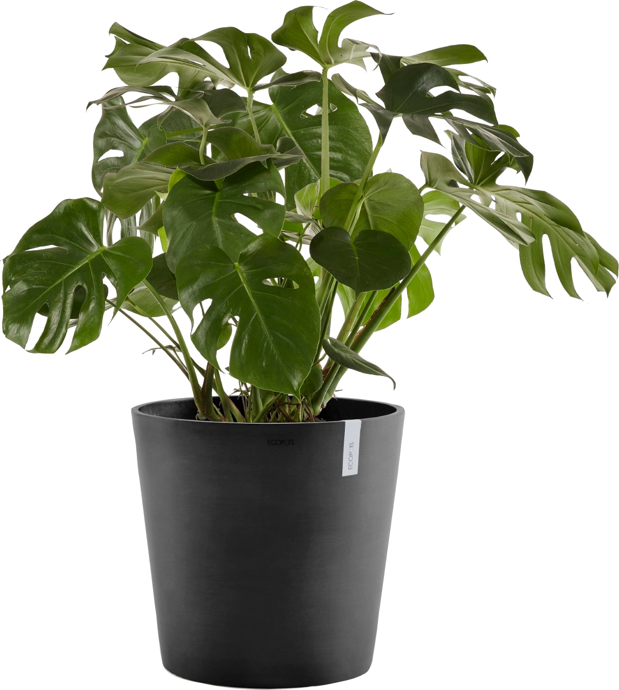 ECOPOTS Blumentopf »AMSTERDAM Dark Grey«, BxTxH: 50x50x43,8 cm, mit Wasserreservoir