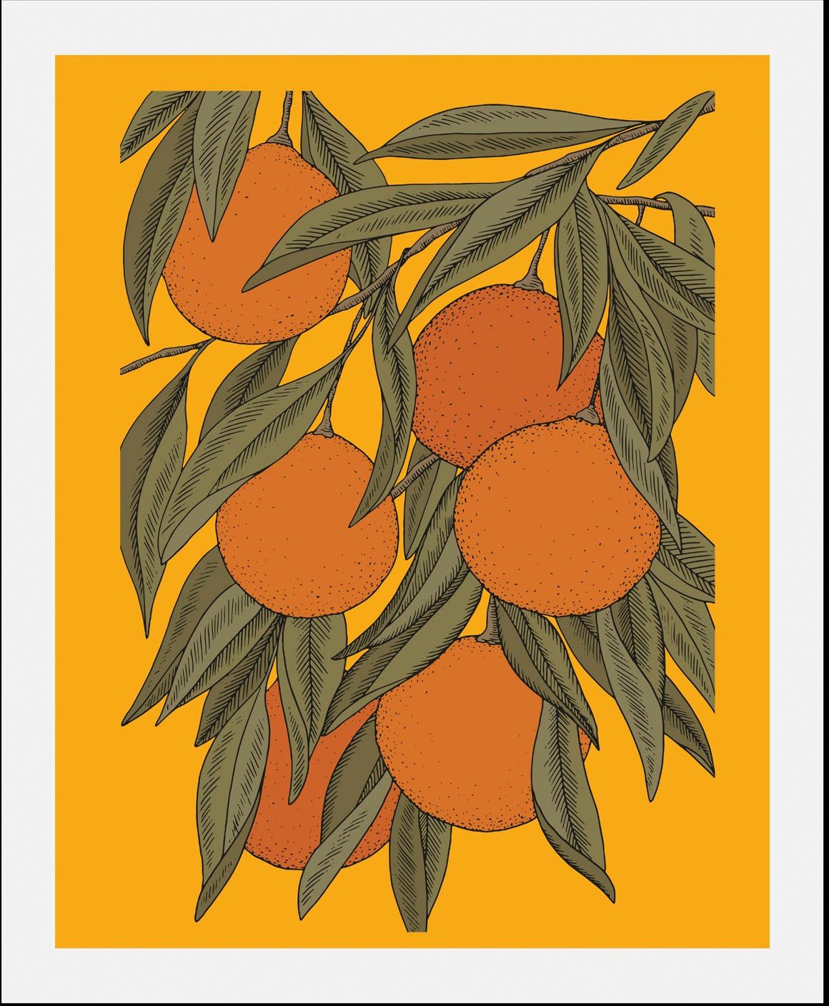 queence Bild "Fae", Obst-Obst Bilder-Essen-Lebensmittel-Kunst, (1 St.), ger günstig online kaufen