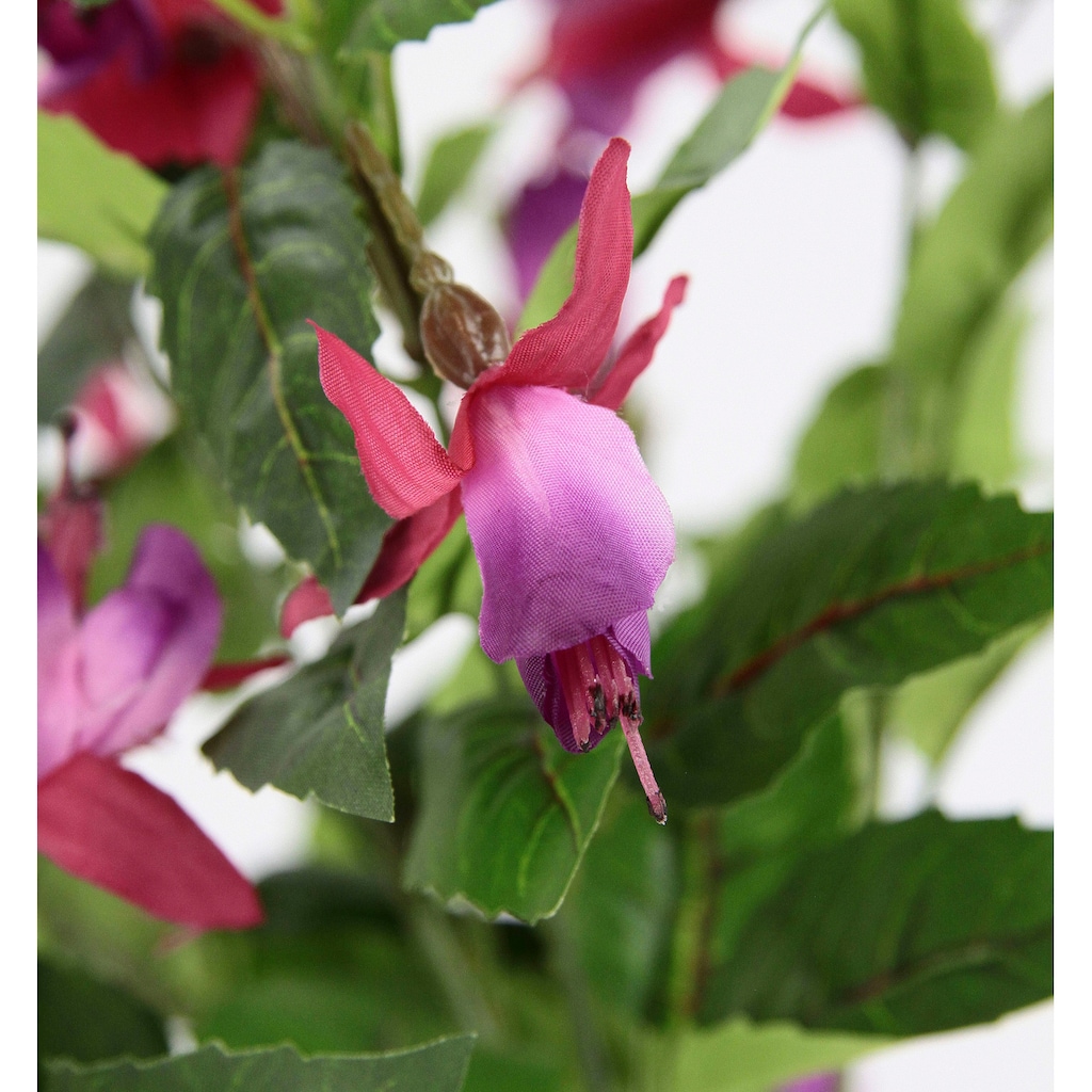 I.GE.A. Kunstblume »Fuchsien«, Im Topf Zimmerpflanze Deko Doppelblütenblätter Topfpflanze Hybrid Hort