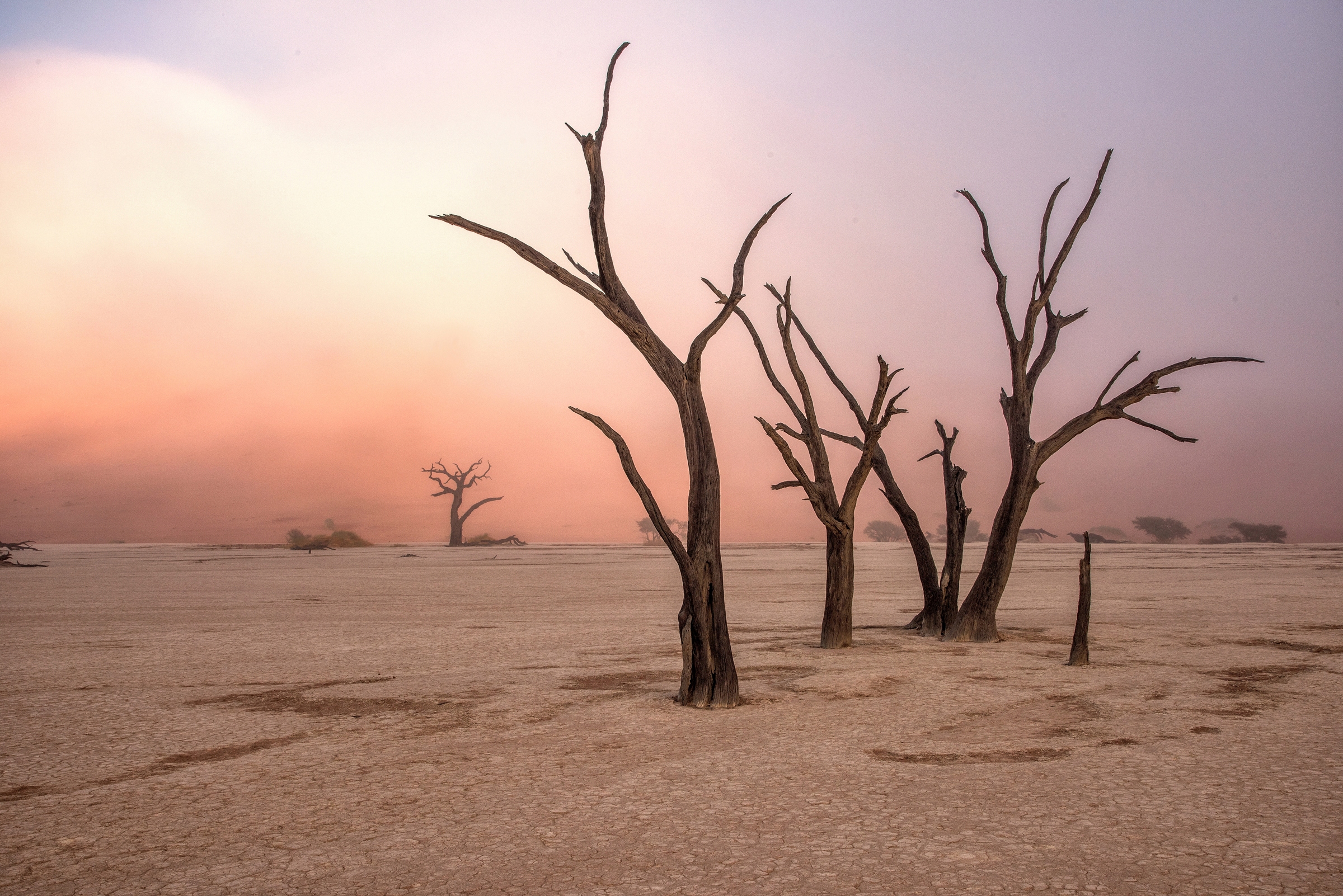 Papermoon Fototapete "Photo-Art GIUSEPPE DAMICO, NEBEL IN DEADVLEI"