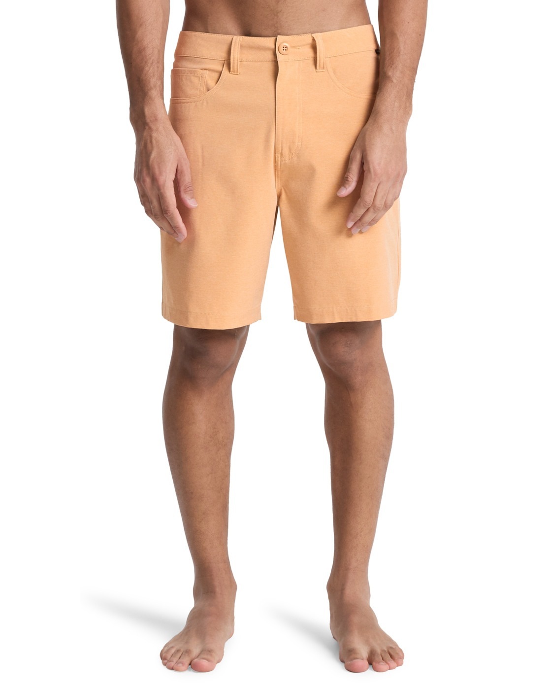Quiksilver Short Nelson Amphibian 18´´ Khaki Heather 36 Homme