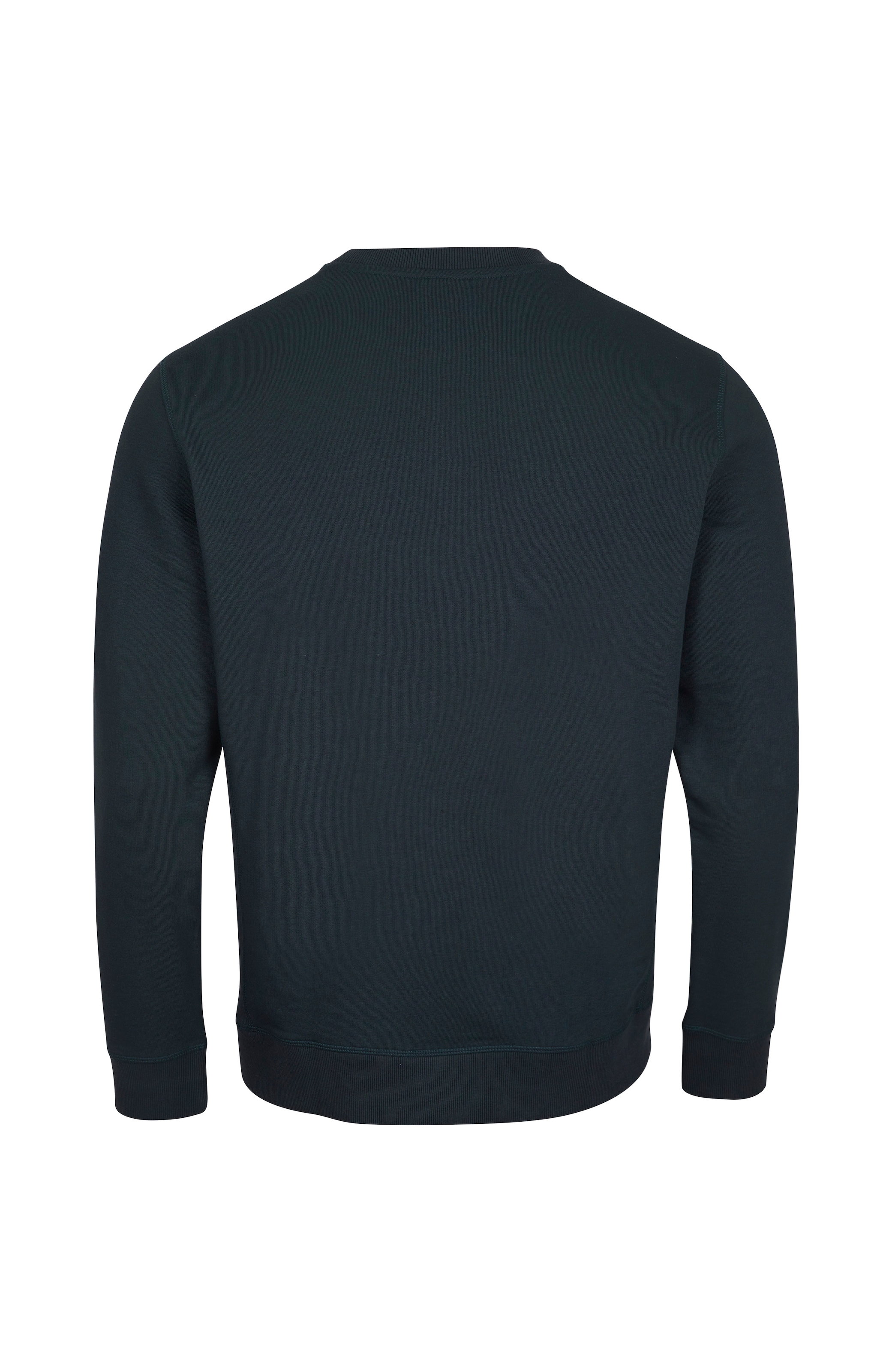 O'Neill Sweatshirt »O'NEILL LOGO CREW«