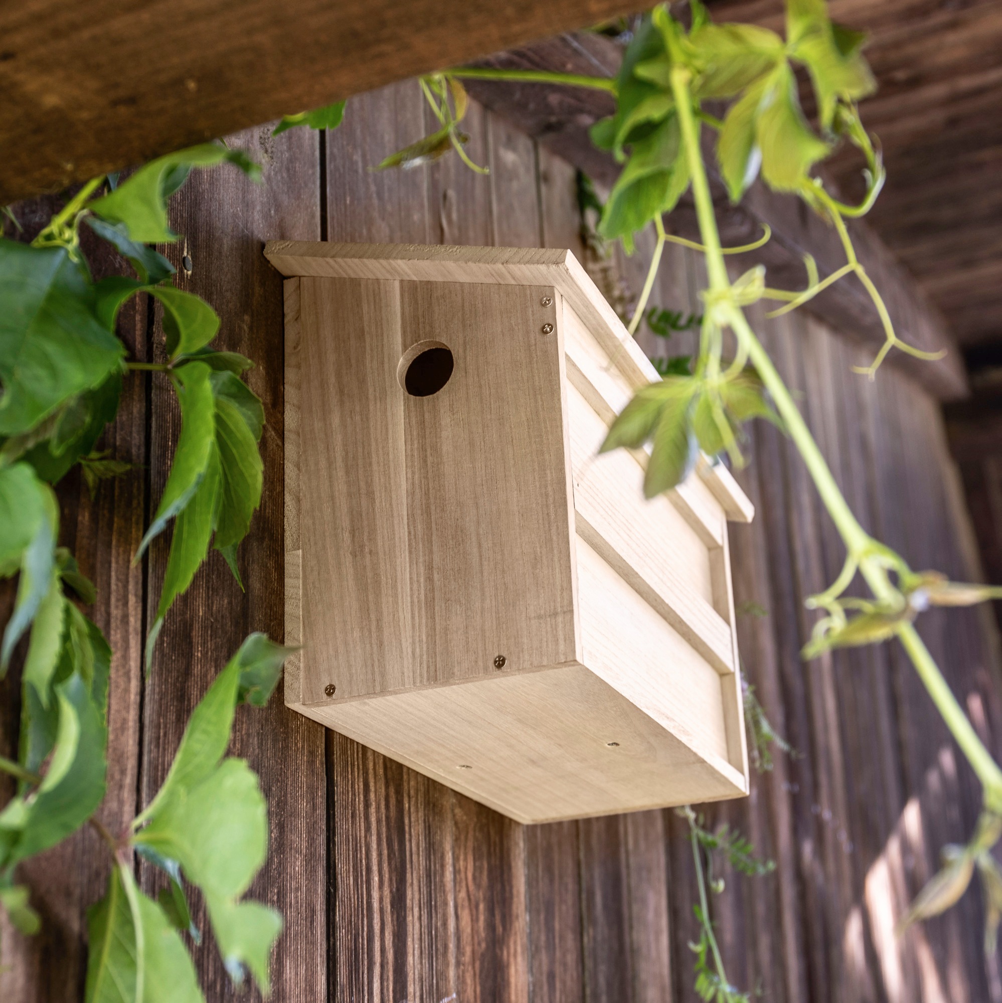 Windhager Twinhouse Sparrow Bird House Natural 3