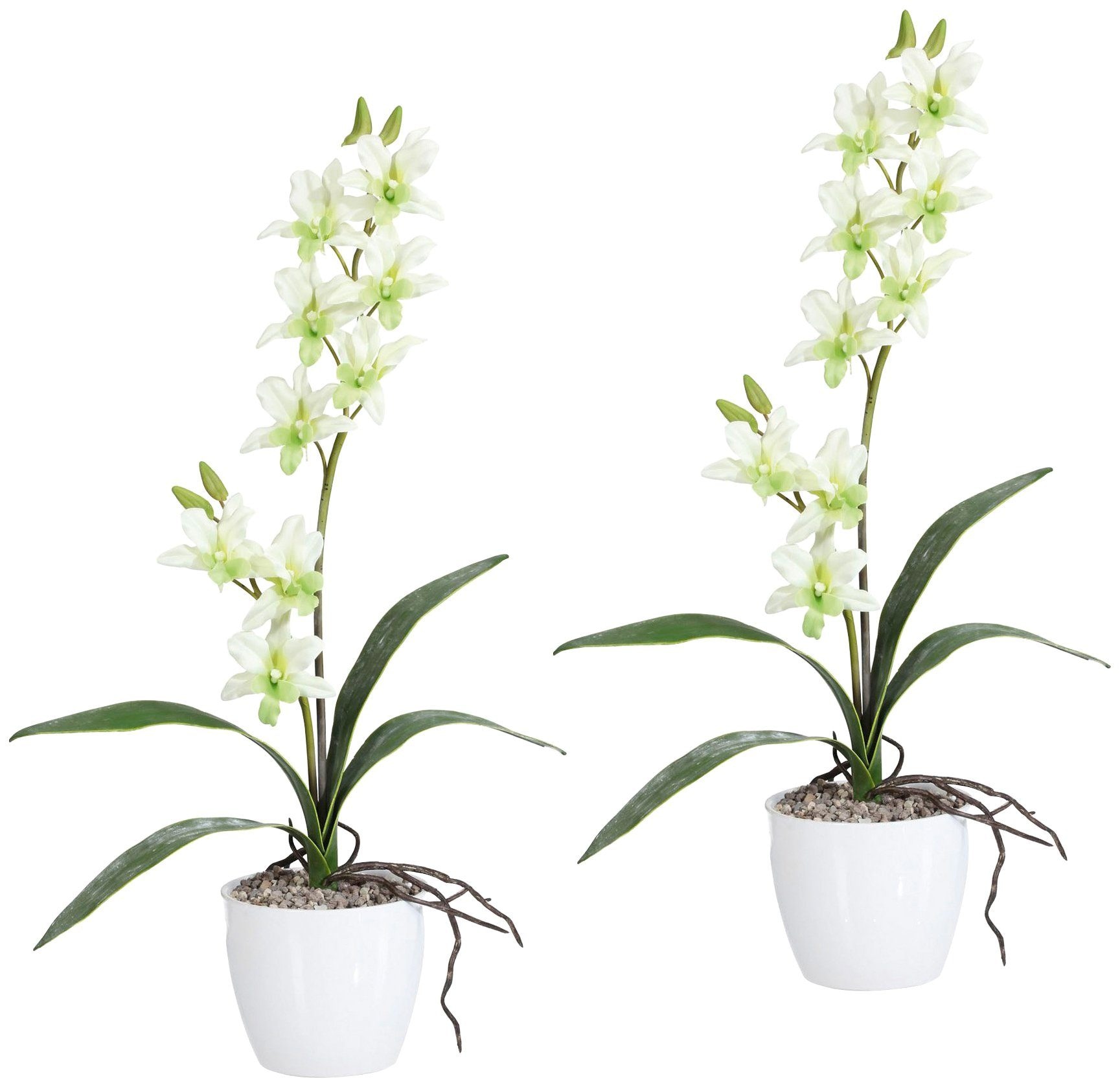 Creativ green Kunstpflanze »Orchidee Dendrobie«, im Keramiktopf