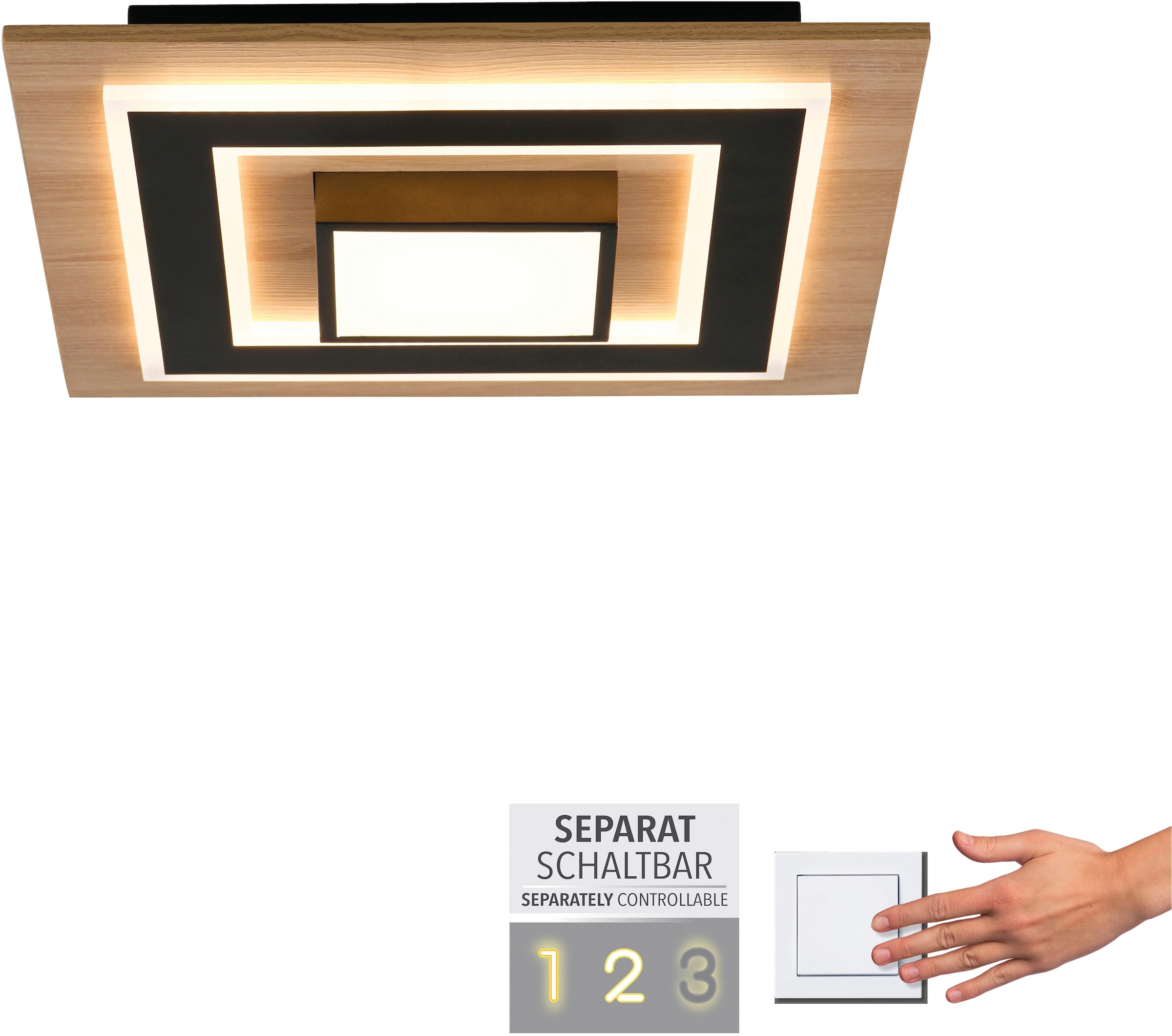 JUST LIGHT Deckenleuchte »TOLA«, 2 flammig, Leuchtmittel LED-Board | LED fest integriert, LED, separat steuerbar (Schalter)
