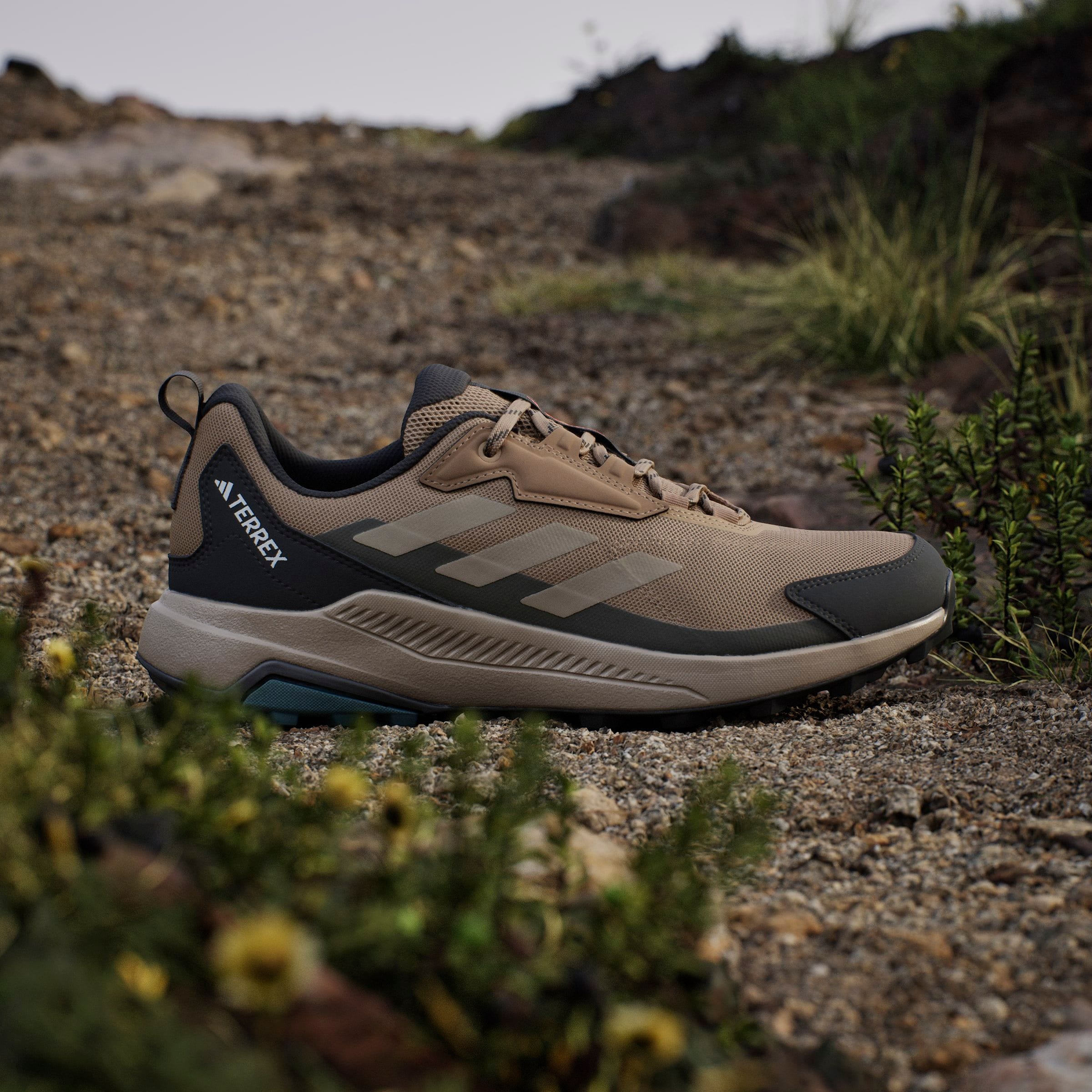 adidas TERREX Wanderschuh »TERREX ANYLANDER«