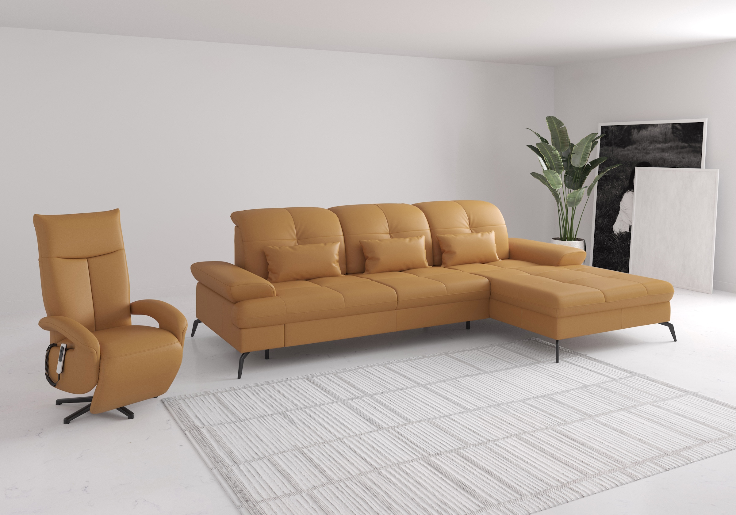 sit&more Ecksofa »Amica, L-Form, inkl. Sitztiefenverstellung & Armteilverstellung«, wahlweise mit Bettfunktion, Bettkasten und Kopfteilverstellung