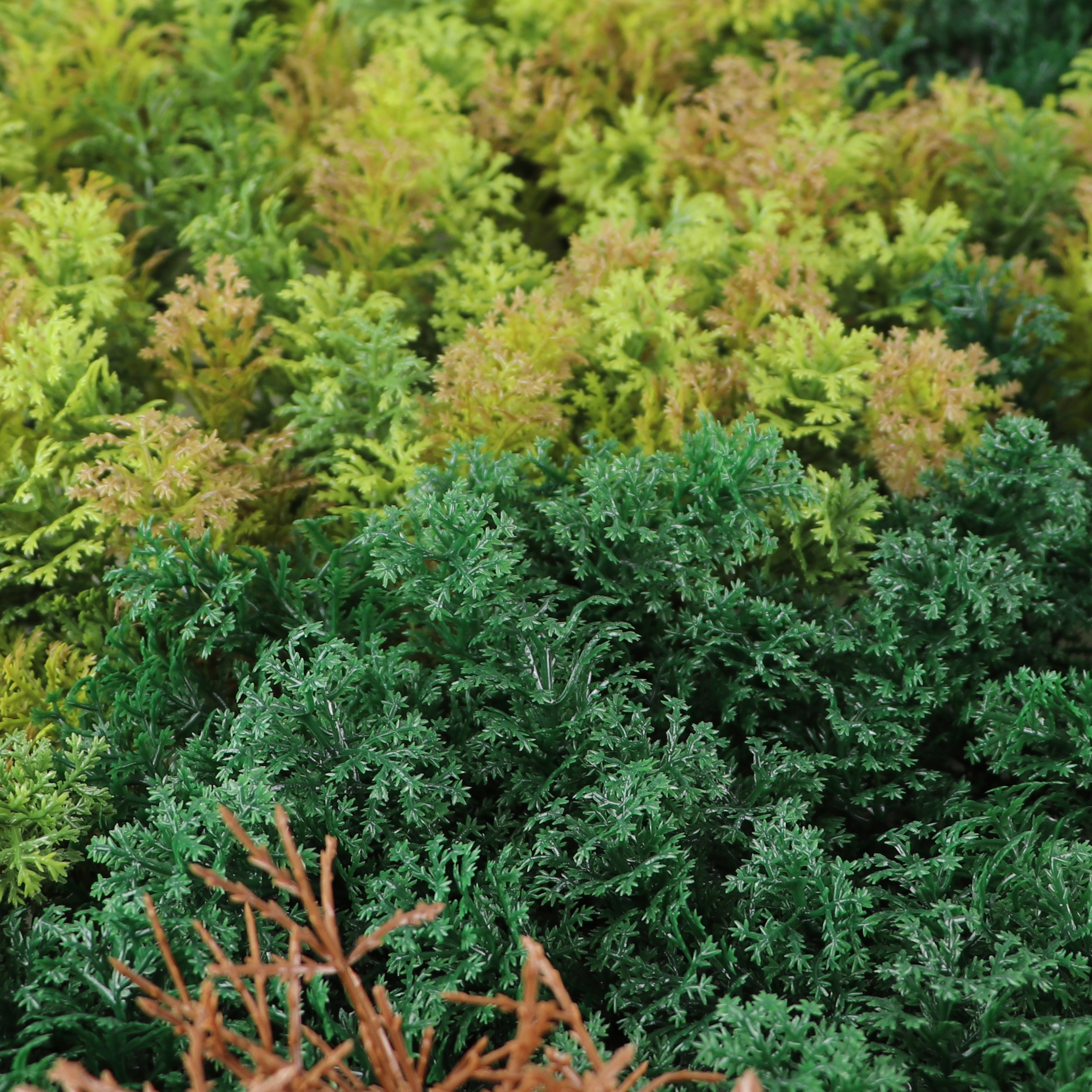 Primaflor-Ideen in Textil Kunstpflanze "Kunstpflanze Pflanzenwand 100x100" günstig online kaufen