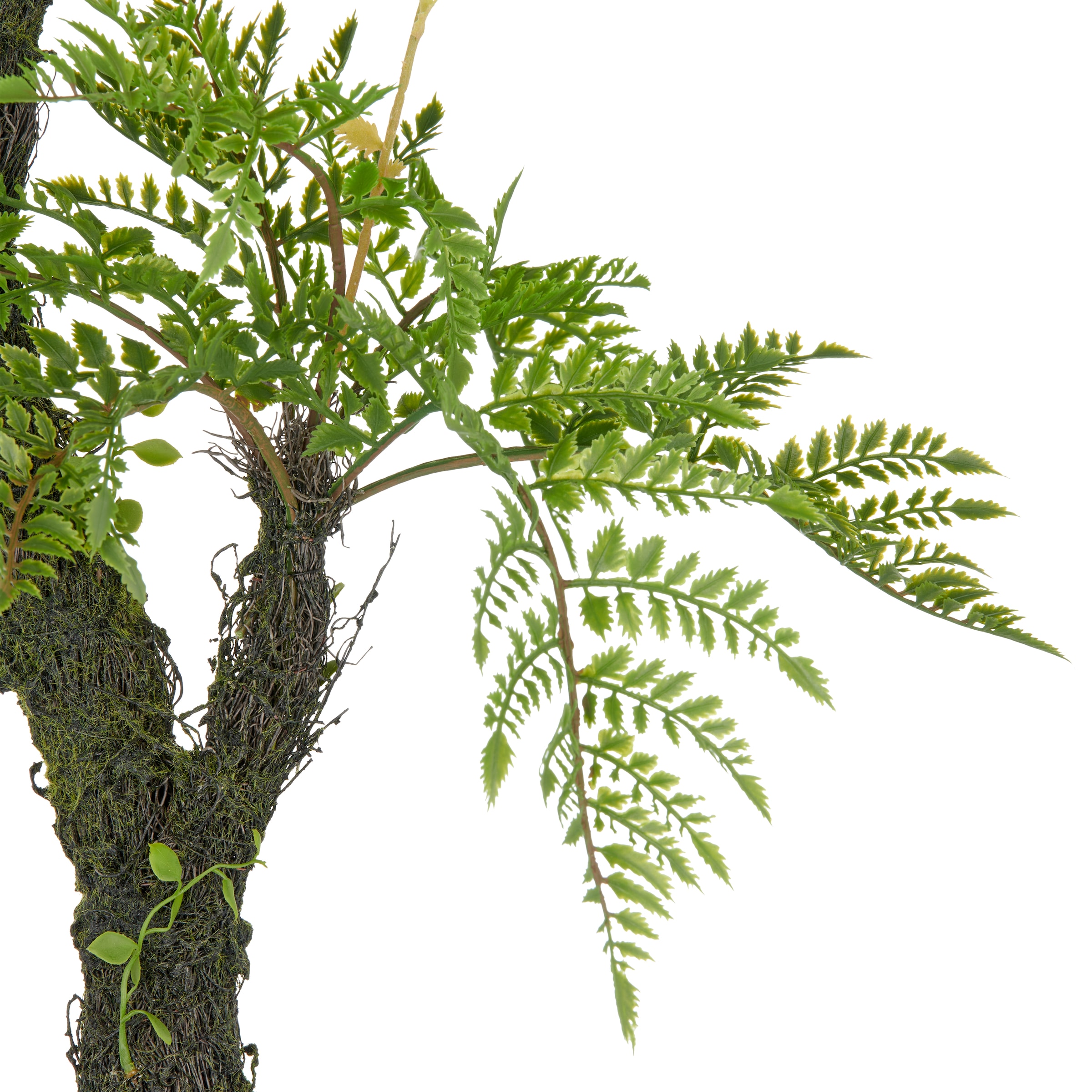 Creativ green Kunstpflanze »Baumfarn«, an Moosstamm