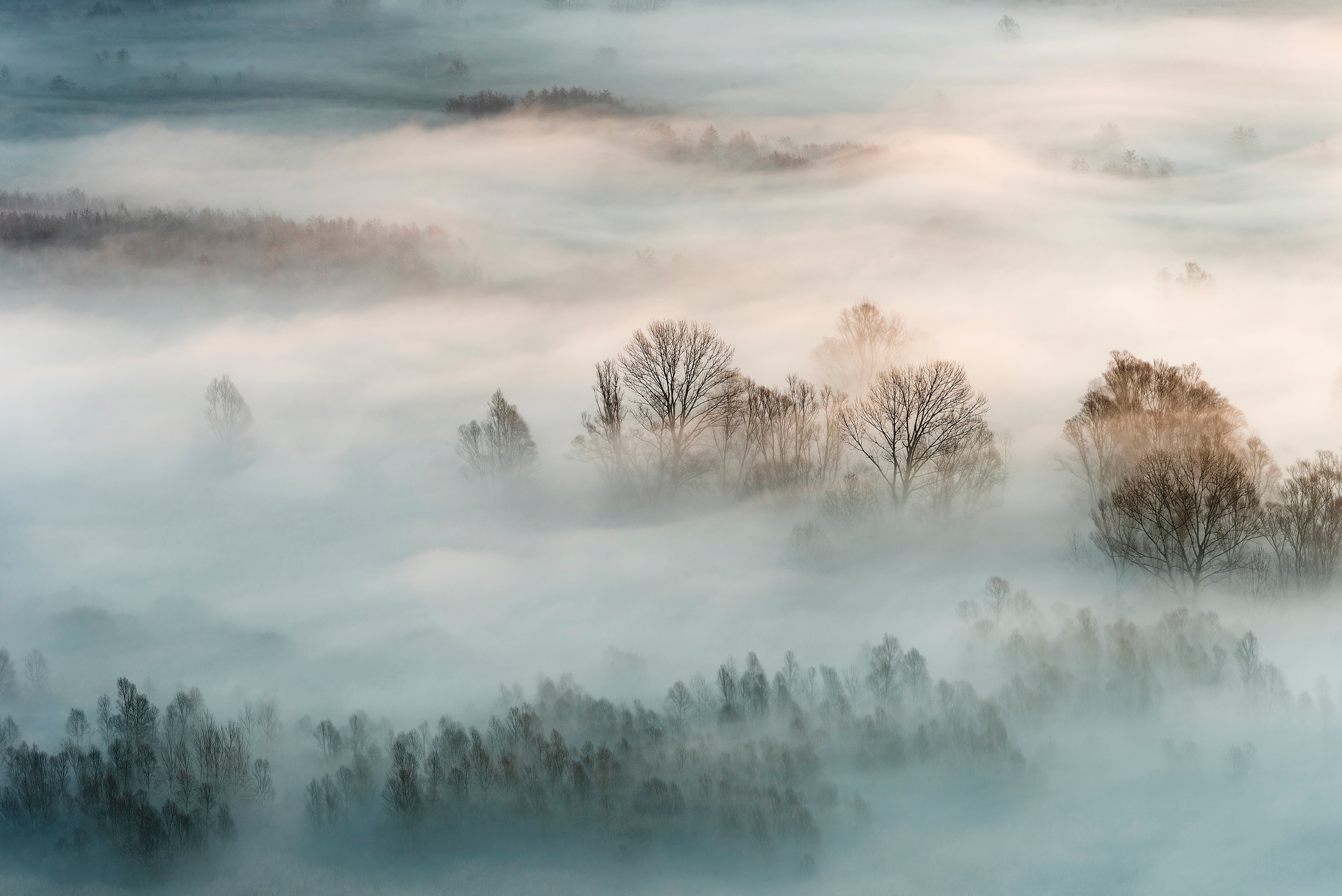 Papermoon Fototapete "Photo-Art MARCO GALIMBERTI, WINTERNEBEL"