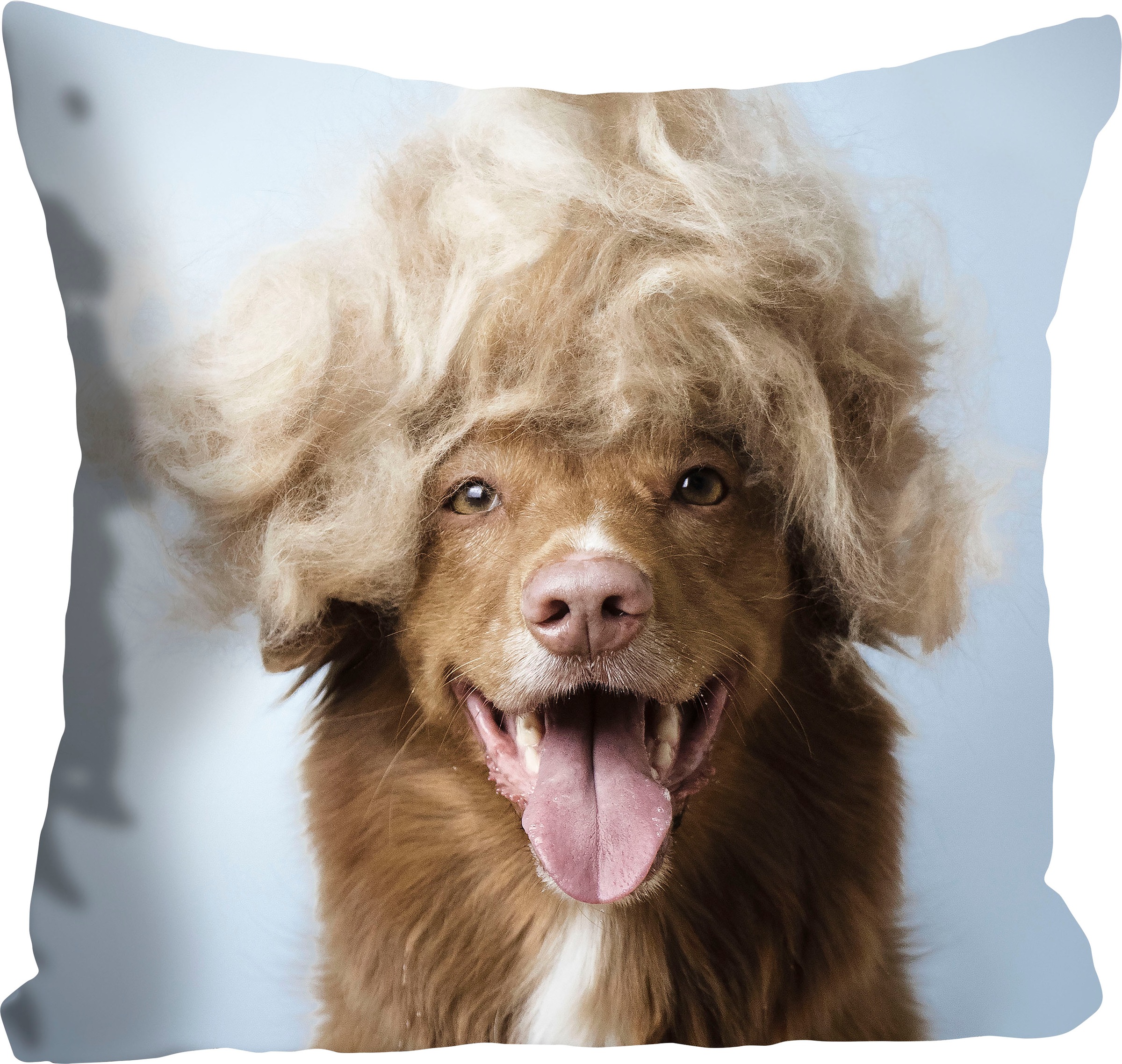 queence Dekokissen "Perry" mit einem Hund mit einer blonden Perücke günstig online kaufen