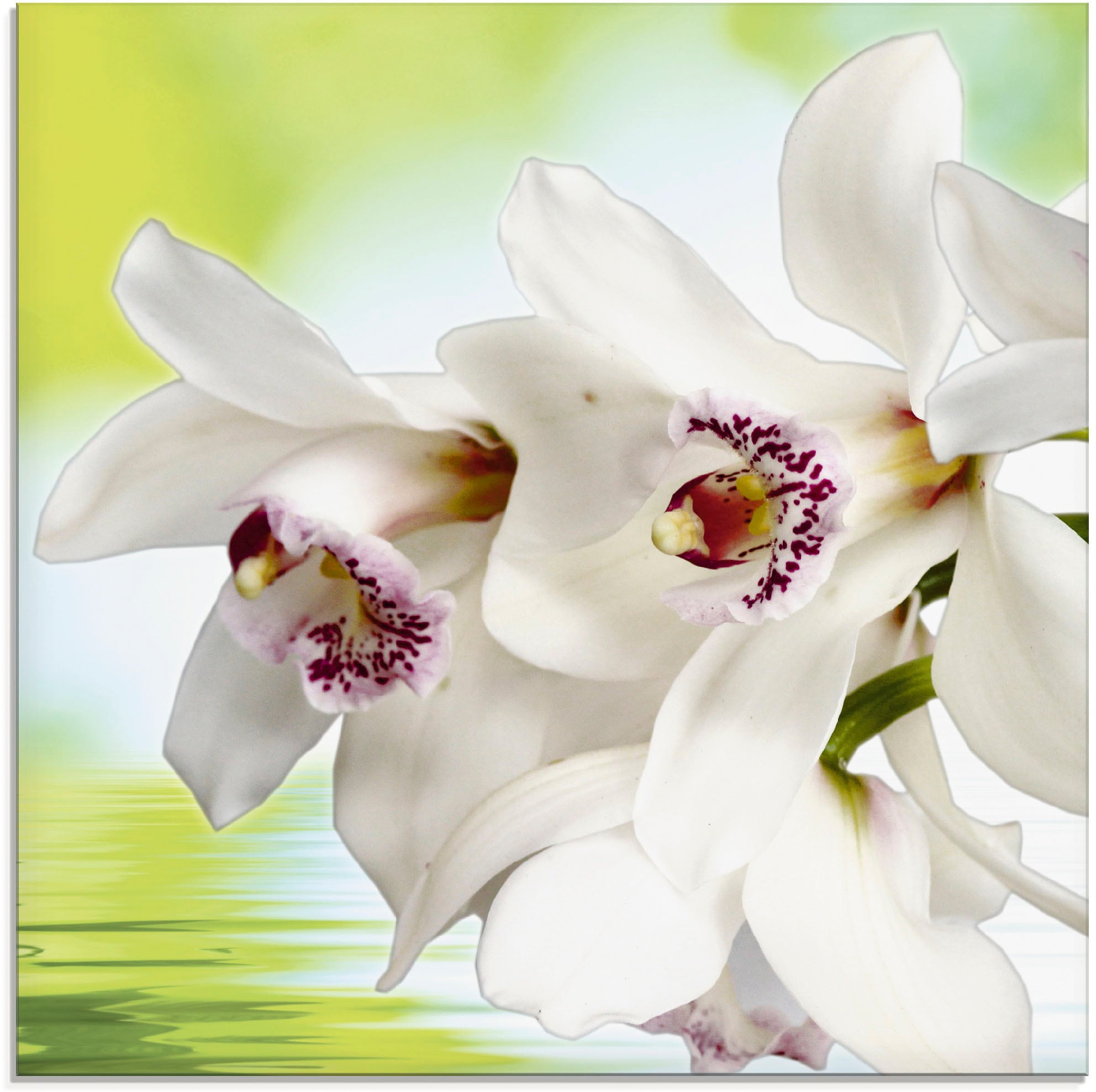 Artland Glasbild "Weiße Orchidee" Blumen 1 Stk. tlg. in verschiedenen Größen