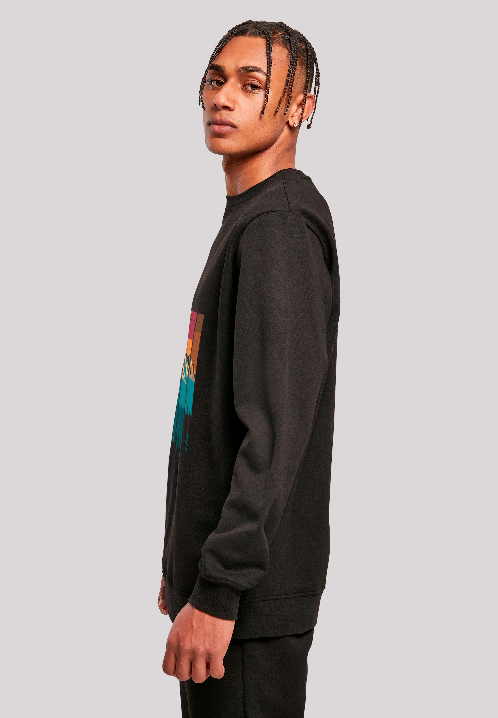 F4NT4STIC Sweatshirt »Berg Sonnenuntergang Retro«, Premium Qualität