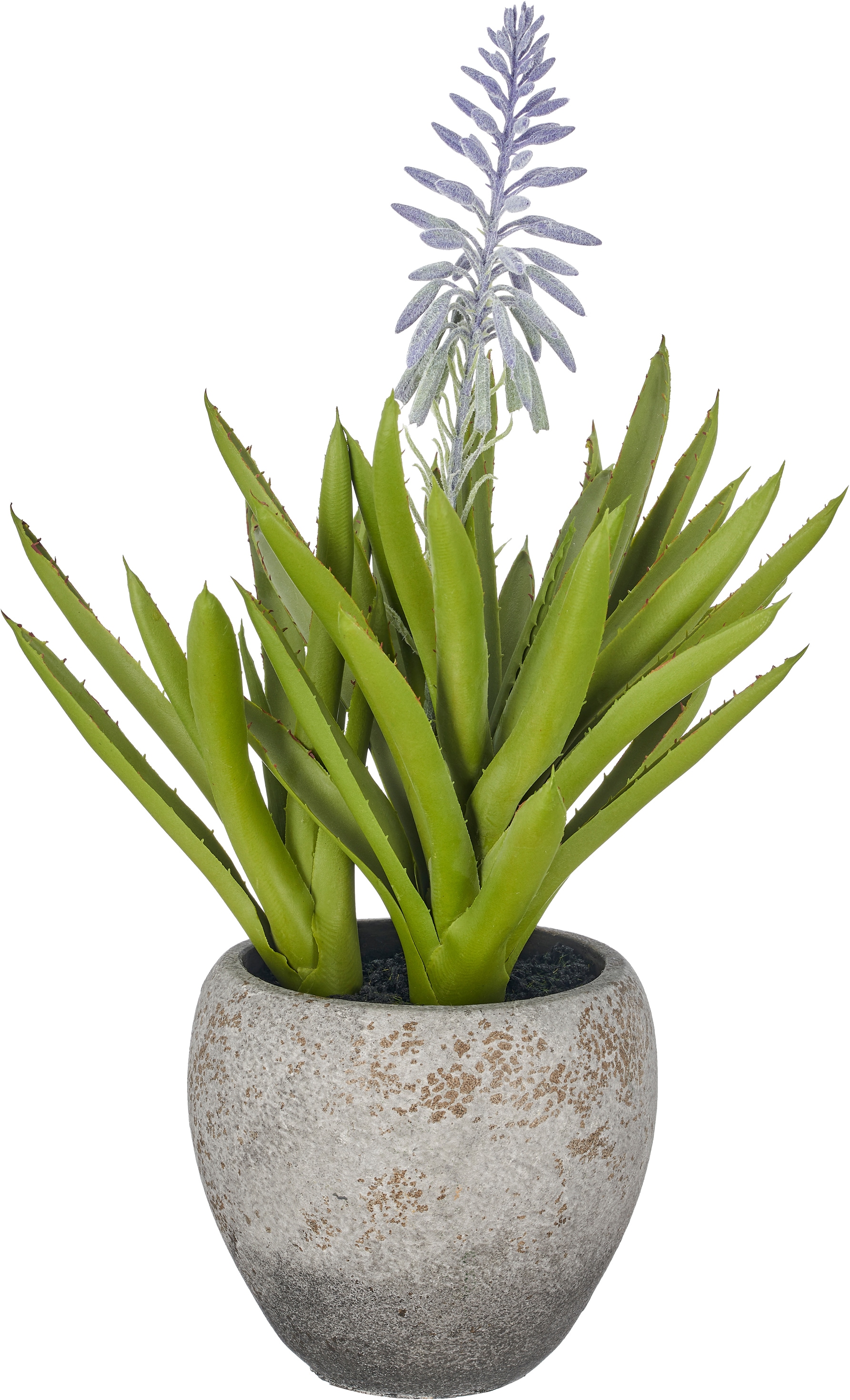 Creativ green Kunstpflanze "Aloe arborescens mit Blüte" in naturgetreuer Gestaltung