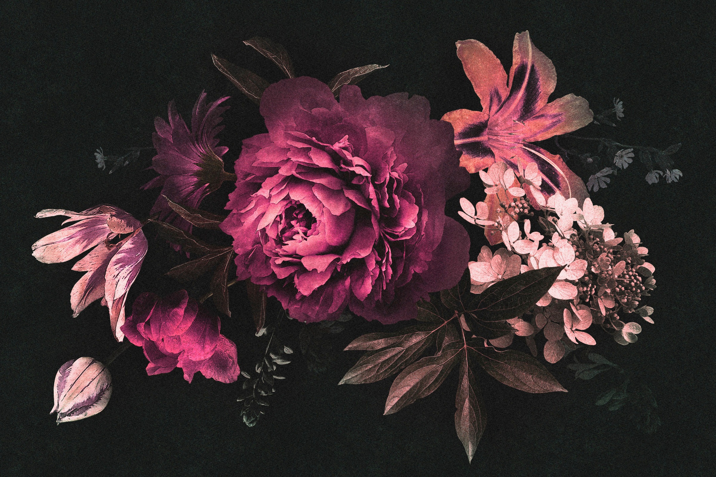 A.S. Création Leinwandbild »drama queen 3«, Kunst-Blumen-Kinder, (1 St.), Keilrahmen Floral Blumen Schwarz Pink Leinwand-Bild Wohnzimmer modern