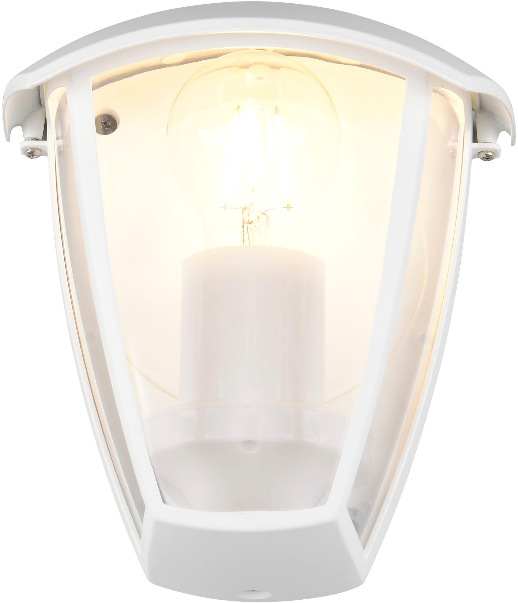 TRIO Leuchten Außen-Wandleuchte »VENTA, Outdoor Hauswand Fassadenbeleuchtung, exkl 1x E27 max 10W, IP44«, 1 flammig, Leuchtmittel E27 | Leuchtmittel wechselbar, Wandlampe Garten Terrasse, Aluminium mit Kunststoff Schirm transparent