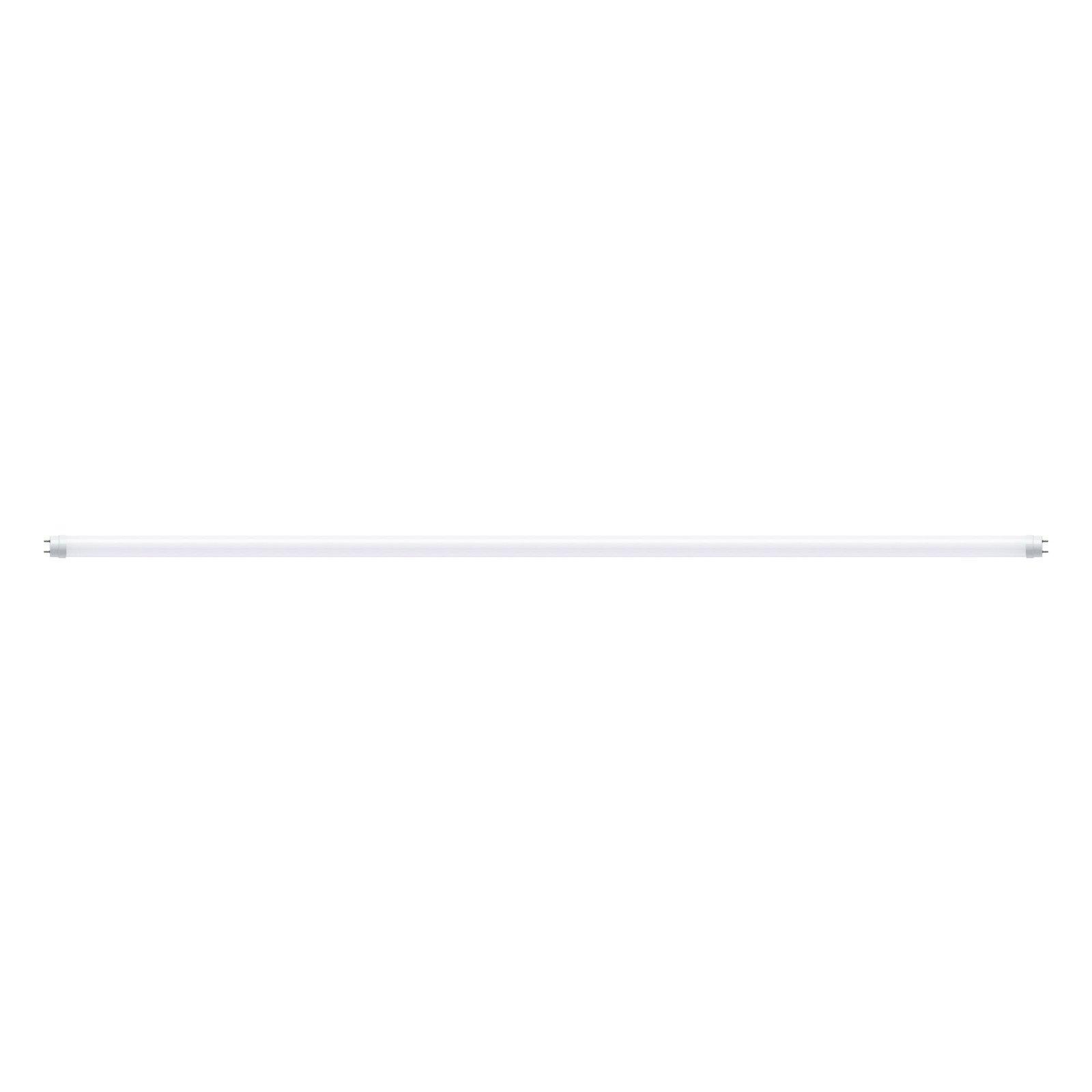 PAULMANN LED-Leuchtmittel "Röhre G13 2300lm 22W 3000K opal 230V", Energieeffizienz: F (A-G), weiß, L:151,4cm Ø:2,8cm, Leuchtmittel