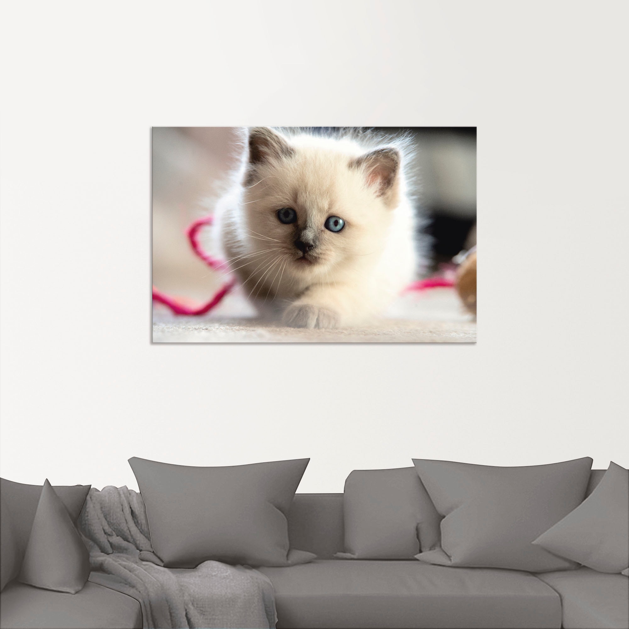 Artland Leinwandbild »Heilige Birma Katze im Spiel«, Katzenbilder, (1 St.), auf Keilrahmen gespannt