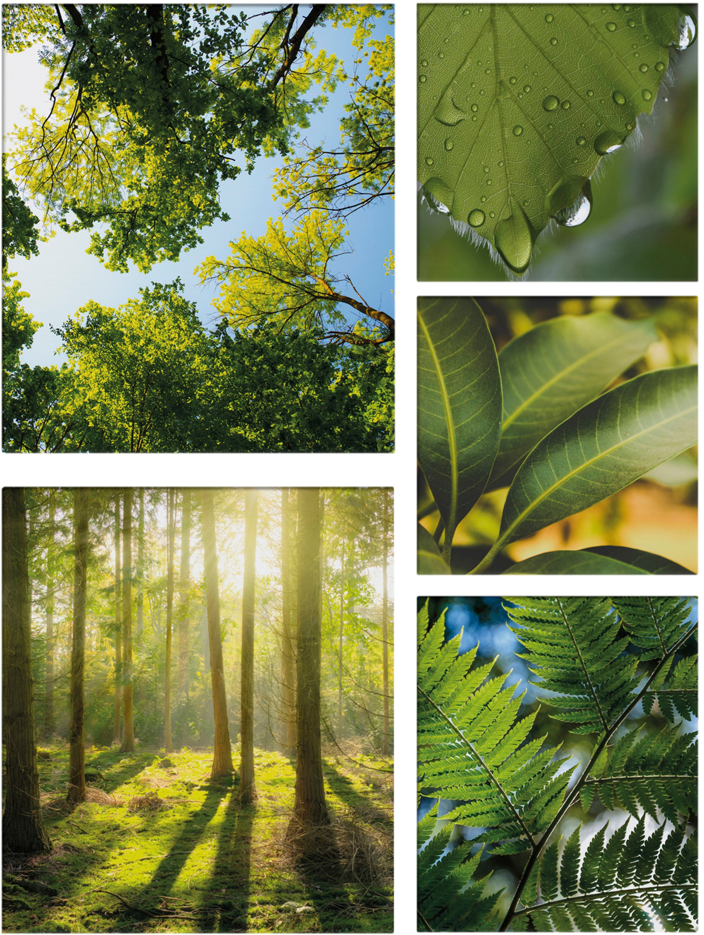 Art for the home Leinwandbild "Pure Natur", Landschaft, (Set), grüne Stille günstig online kaufen