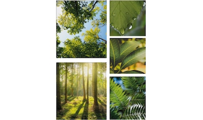 Leinwandbild »Pure Natur«, Landschaft, (Set)