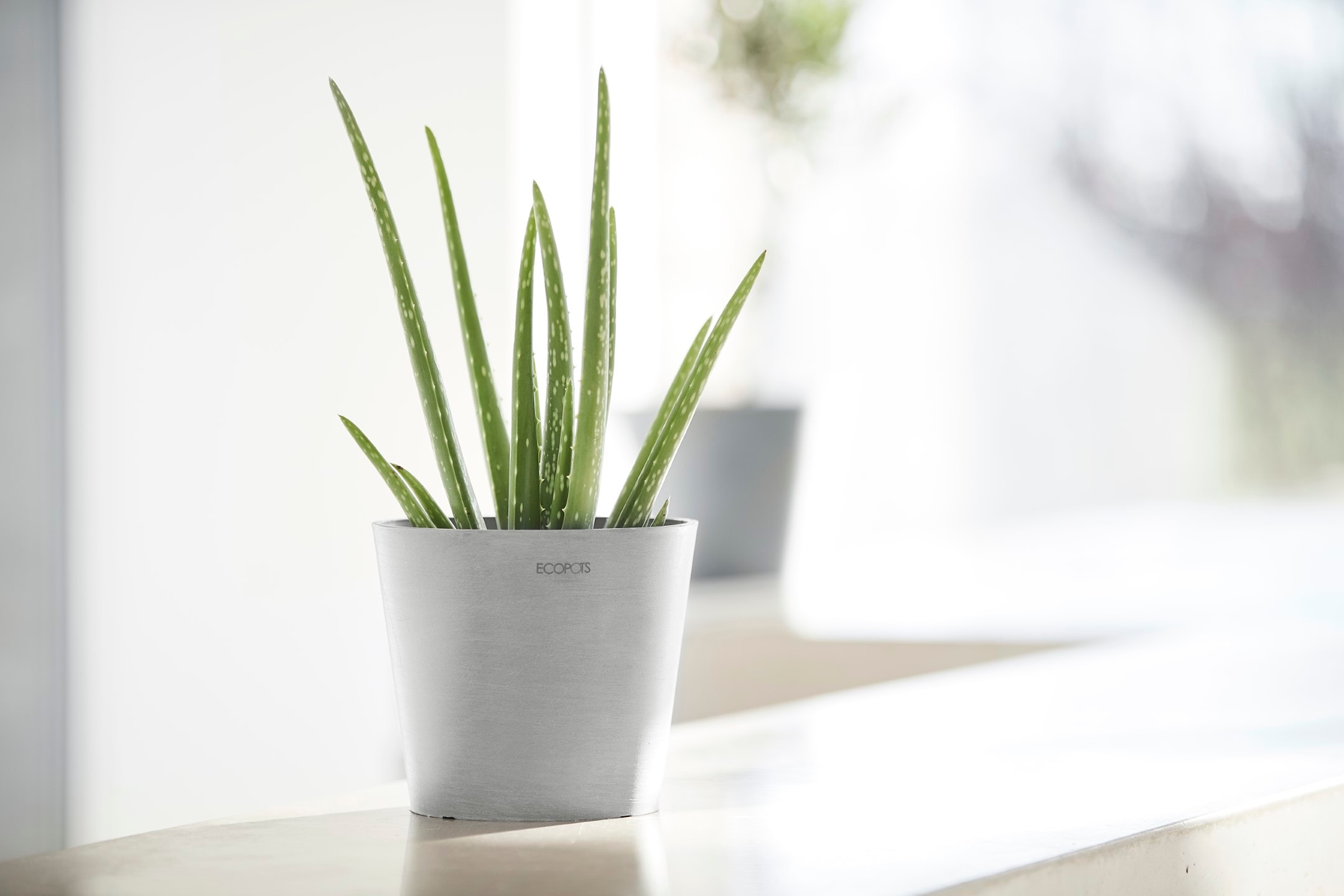ECOPOTS Blumentopf »AMSTERDAM Mini White Grey«, BxTxH: 17x17x14,9 cm