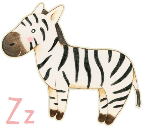 Wall-Art Wandtattoo »Zebra Buchstabe Z Tierwelt«, (1 St.) kaufen | BAUR