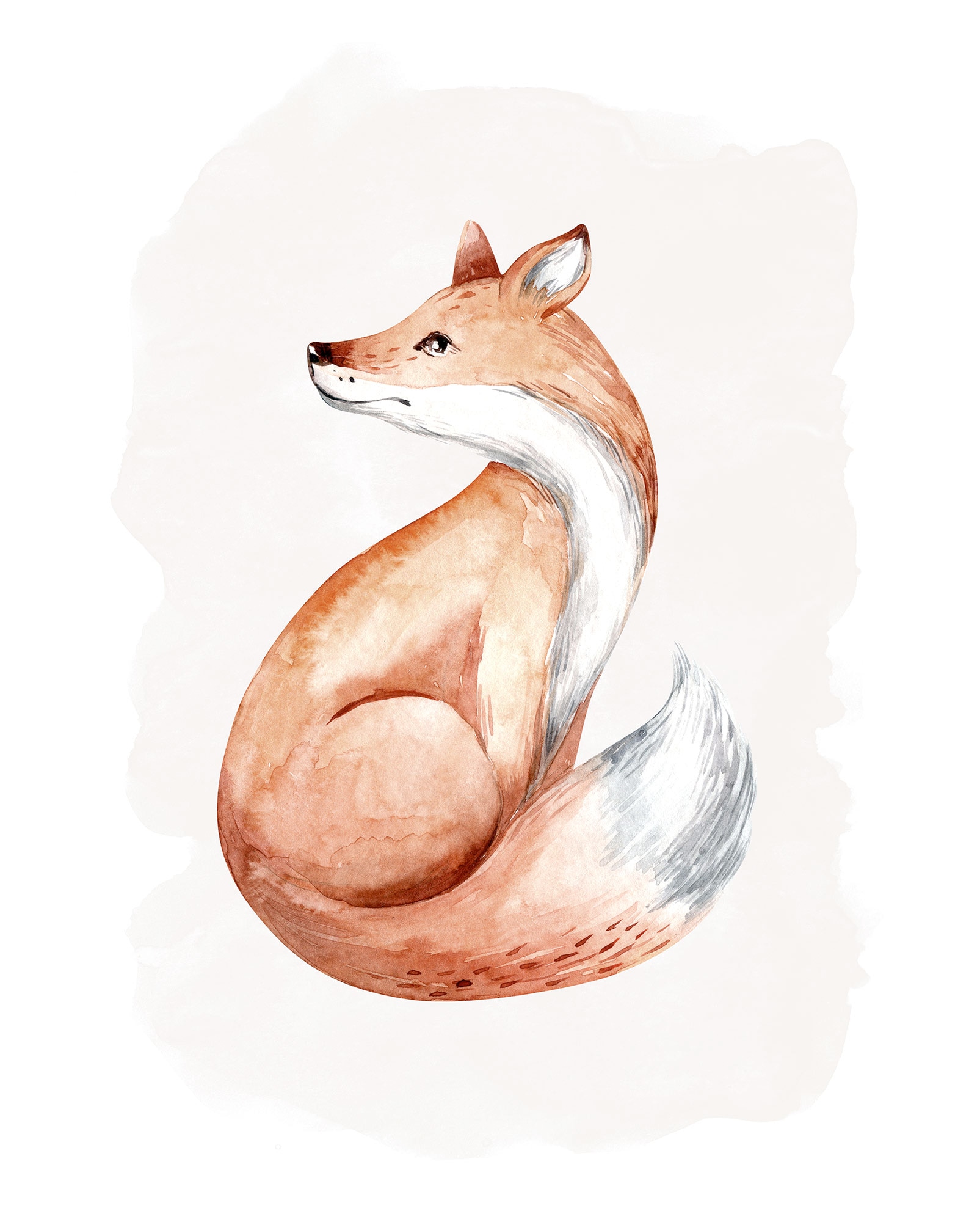 Komar Bild "Curious Fox" Natur 1 Stk. tlg. Wandbild zur Dekoration - ohne R günstig online kaufen