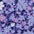 Purple Opulence