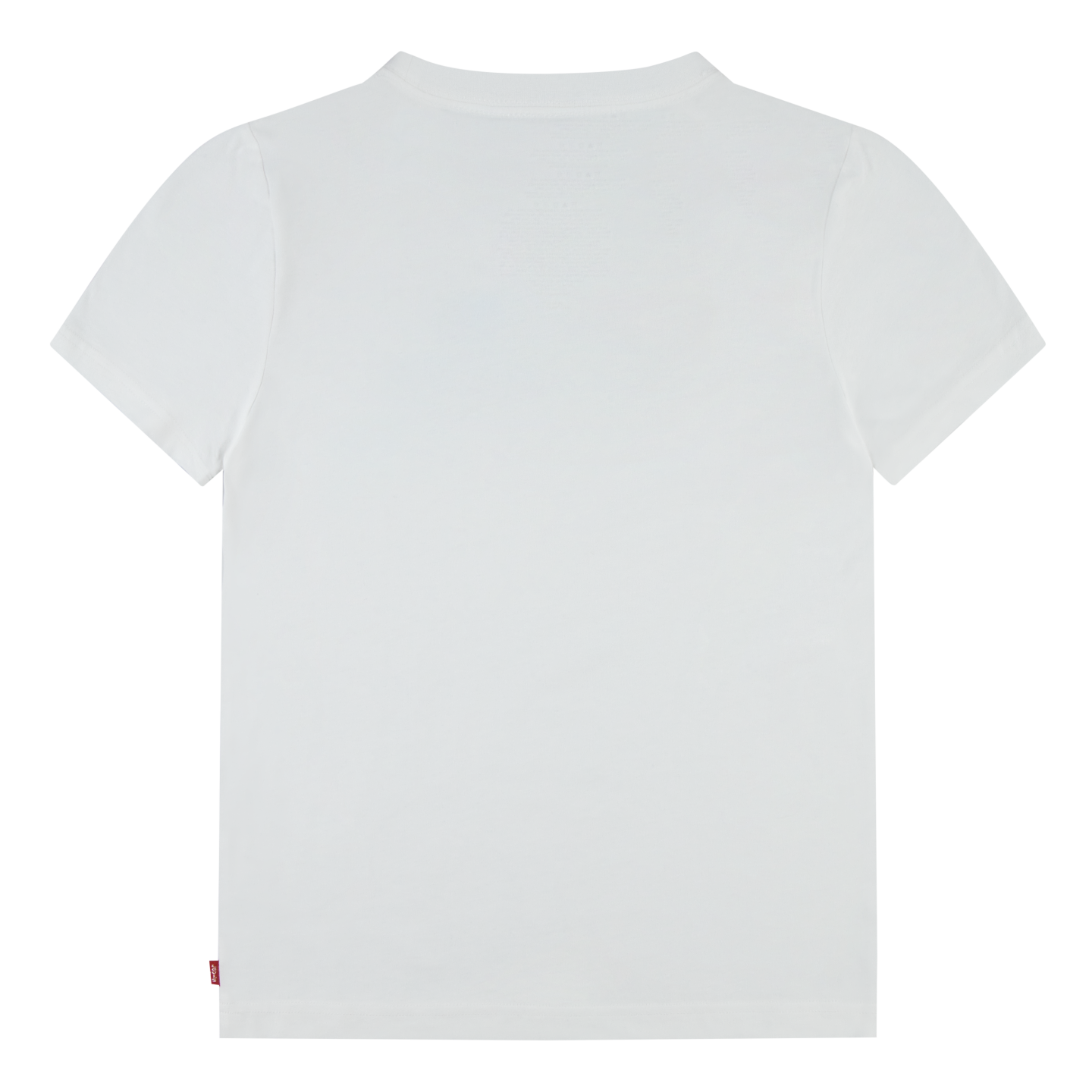 Levi's® Kids T-Shirt, mit Batwing-Logoprint mit Landschaft in 3-D-Optik