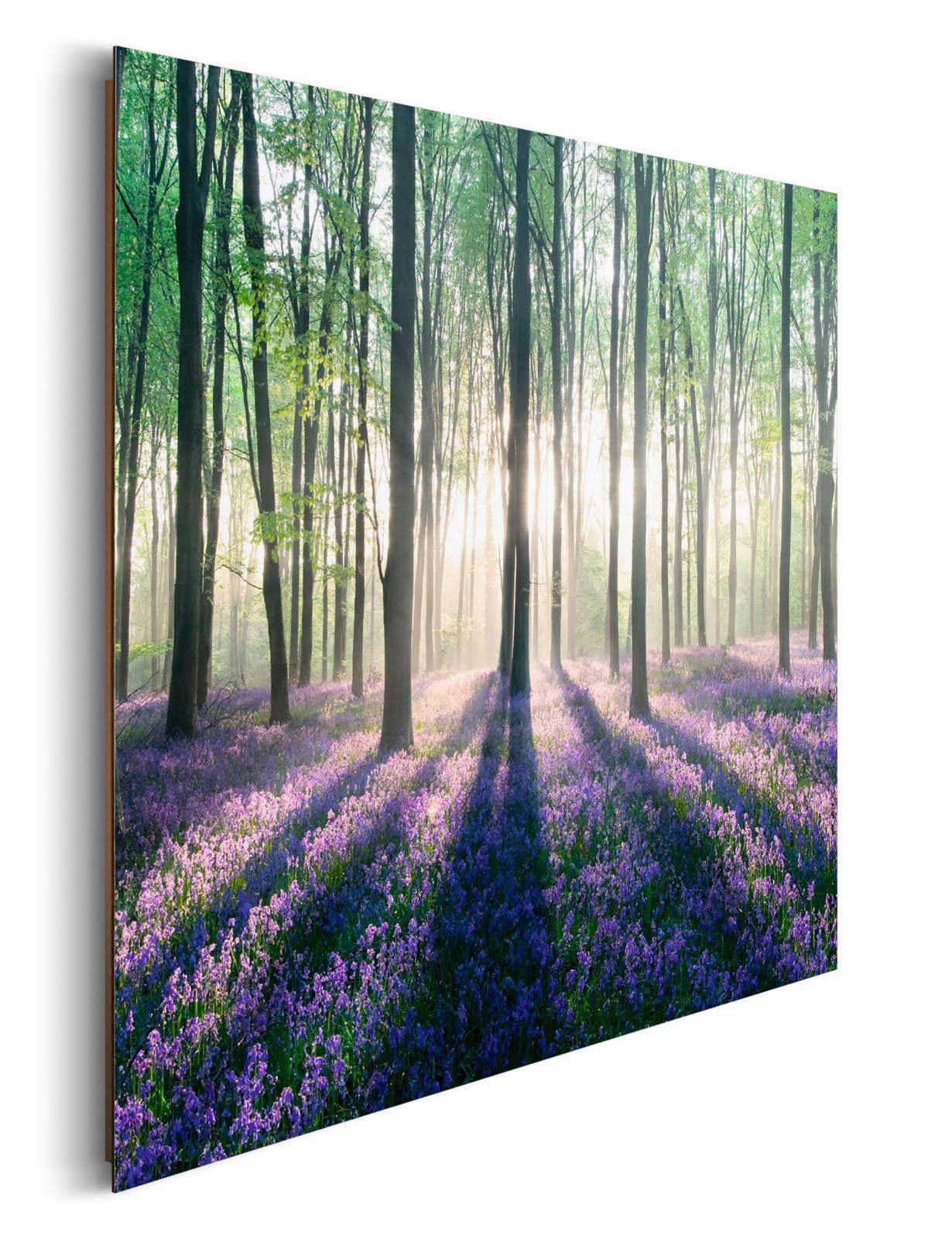 Home affaire Deco-Panel »Verzauberter Wald«