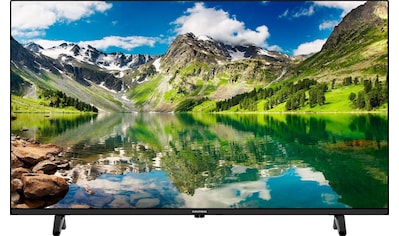 Grundig LED-Fernseher »40 VLE 5020 TJQ000«, 100 cm/40 Zoll, Full HD kaufen
