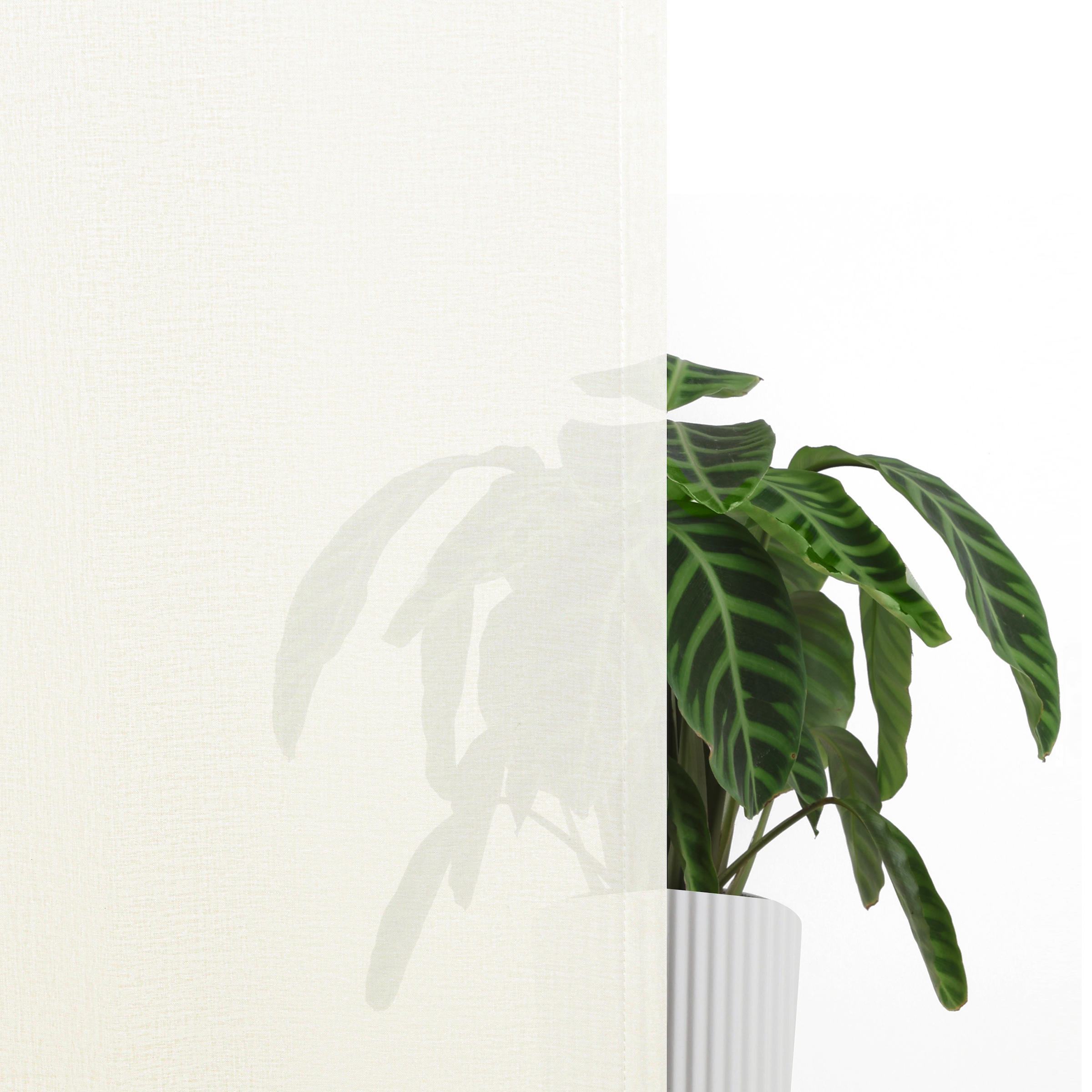 OTTO home Gardine »Dolly« Ösen 1 Stk. tlg. gewebt, Polyester