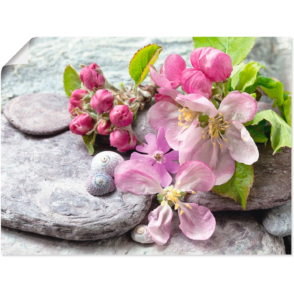 Artland Wandbild »Apfelblüten«, Blumen, (1 St.), als Leinwandbild, Poster, Wandaufkleber in verschied. Größen
