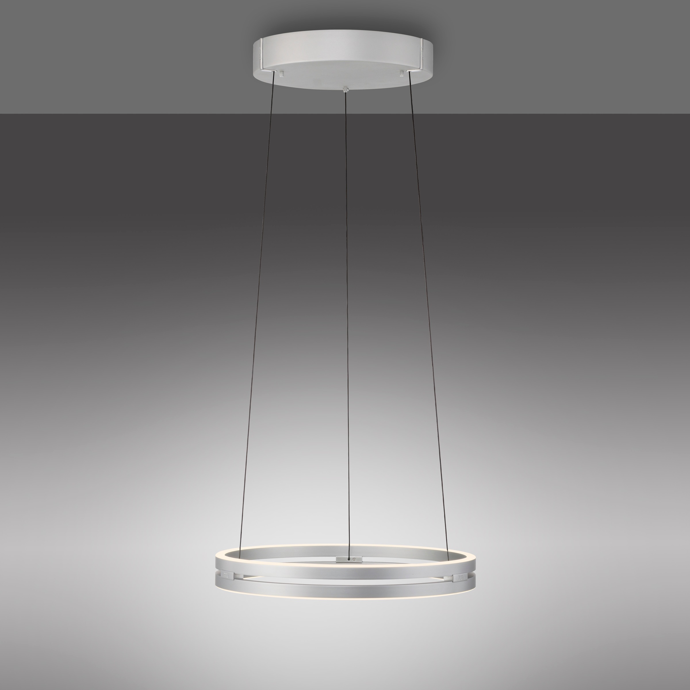 Neuhaus PURE LED Pendelleuchte »PURE E-Loop« LED-Board 1 Stk. warmweiß - kaltweiß e-LIFT® Funktion, CCT, dimmbar über Fernbedienung