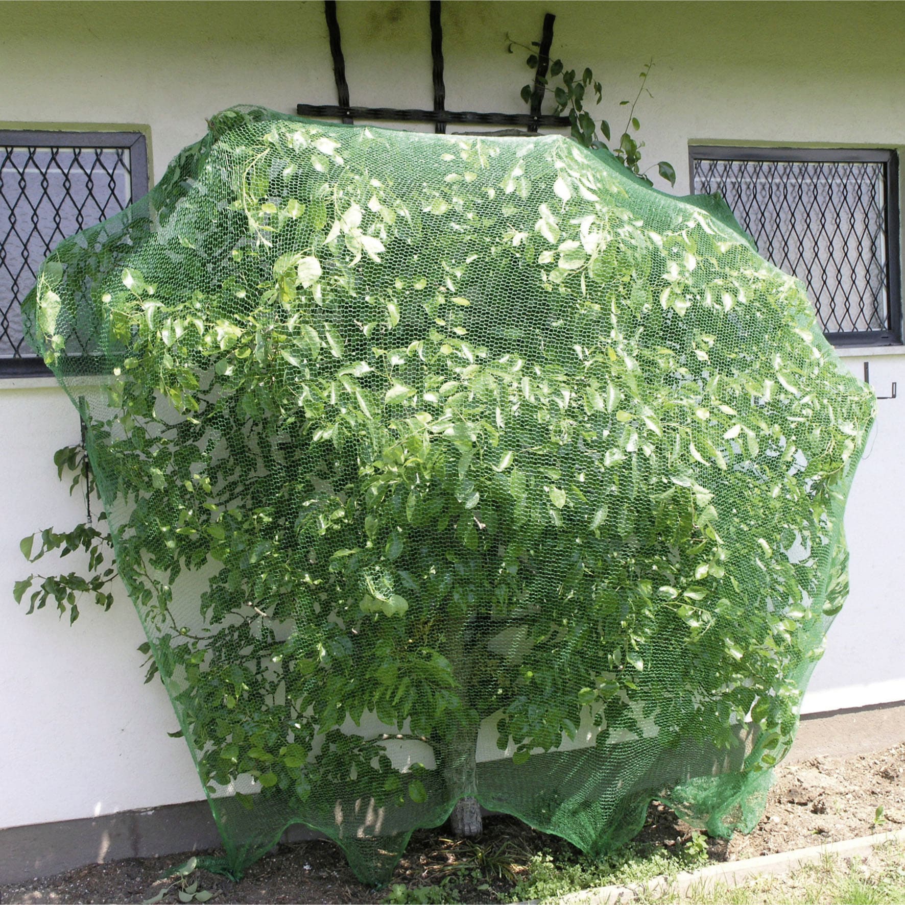 Windhager Schutznetz »für Obstbäume und Sträucher, Vogelschutz-Netz Rational« Maschenweite 15 mm, erhältlich in unterschiedlichen Größen