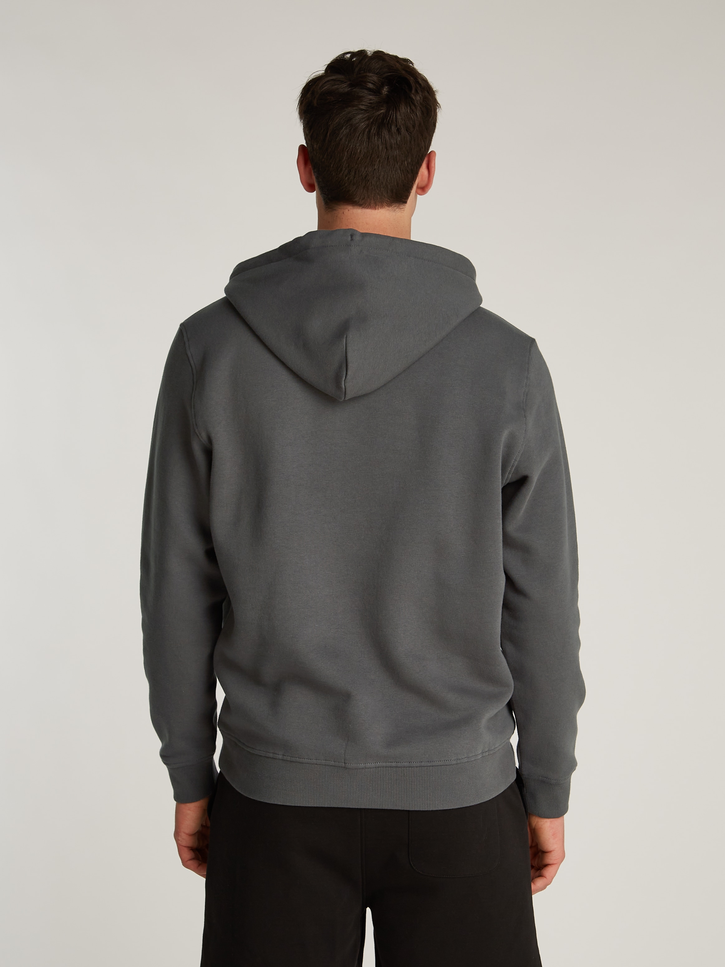 Tommy Jeans Plus Hoodie »TJM REG LINEAR LOGO HOODIE EXT«, in Große Größen, Logodruck