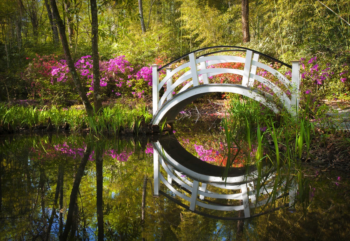 Papermoon "Brücke im Park"