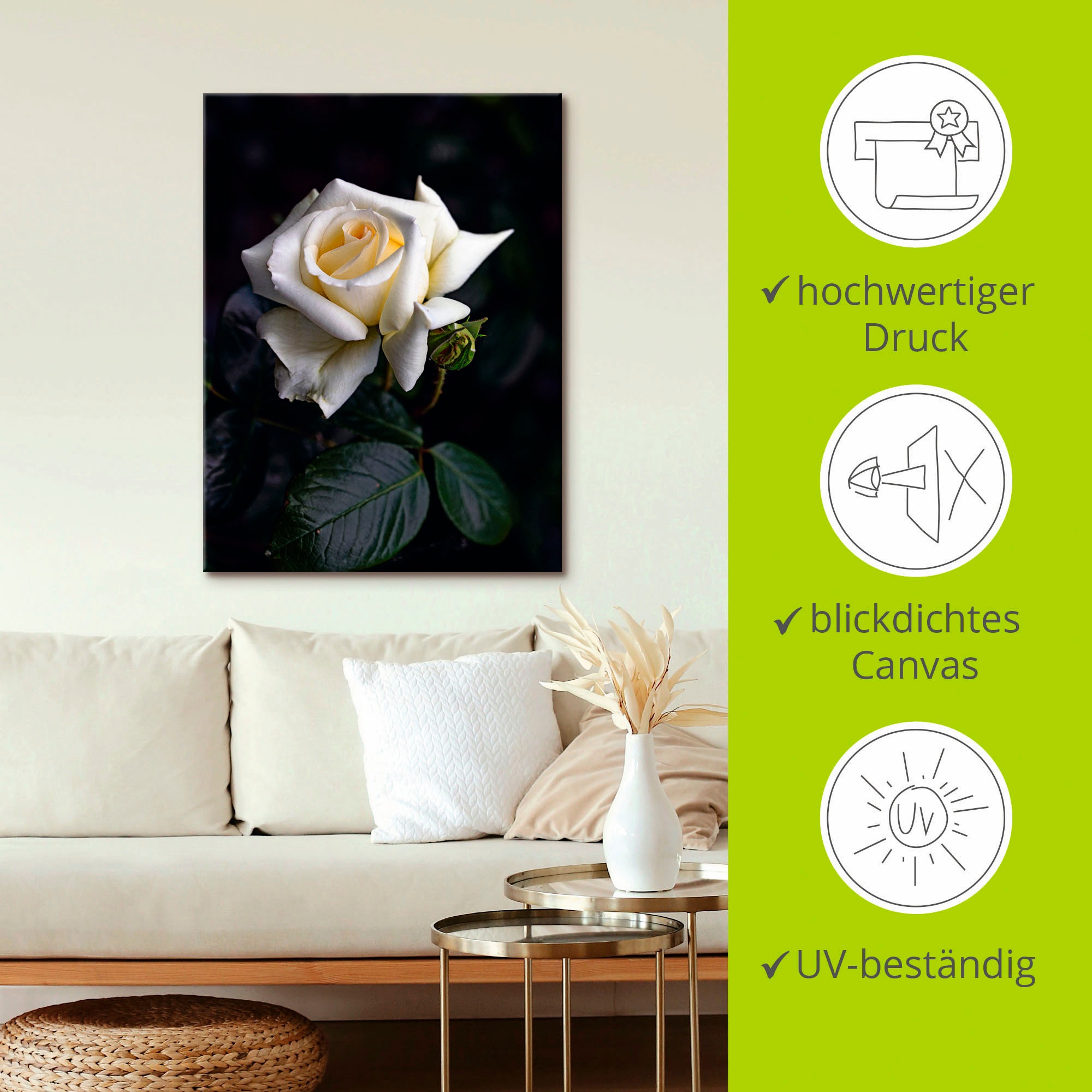 Artland Wandbild »Weiß-gelbe Rose«, Blumen, (1 St.), als Leinwandbild, Poster in verschied. Größen